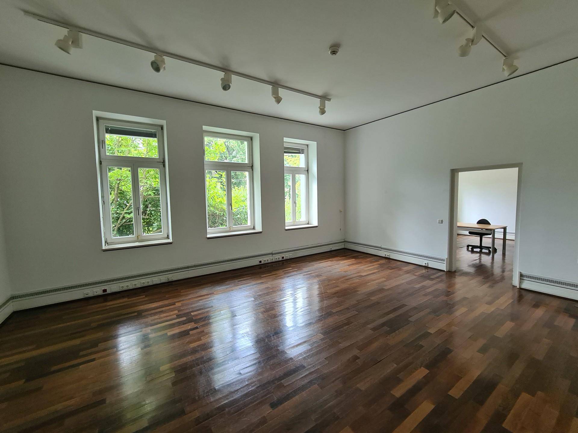 Geräumiger, heller Raum mit dunklem Parkettboden, großen Fenstern und moderner Schienenbeleuchtung.