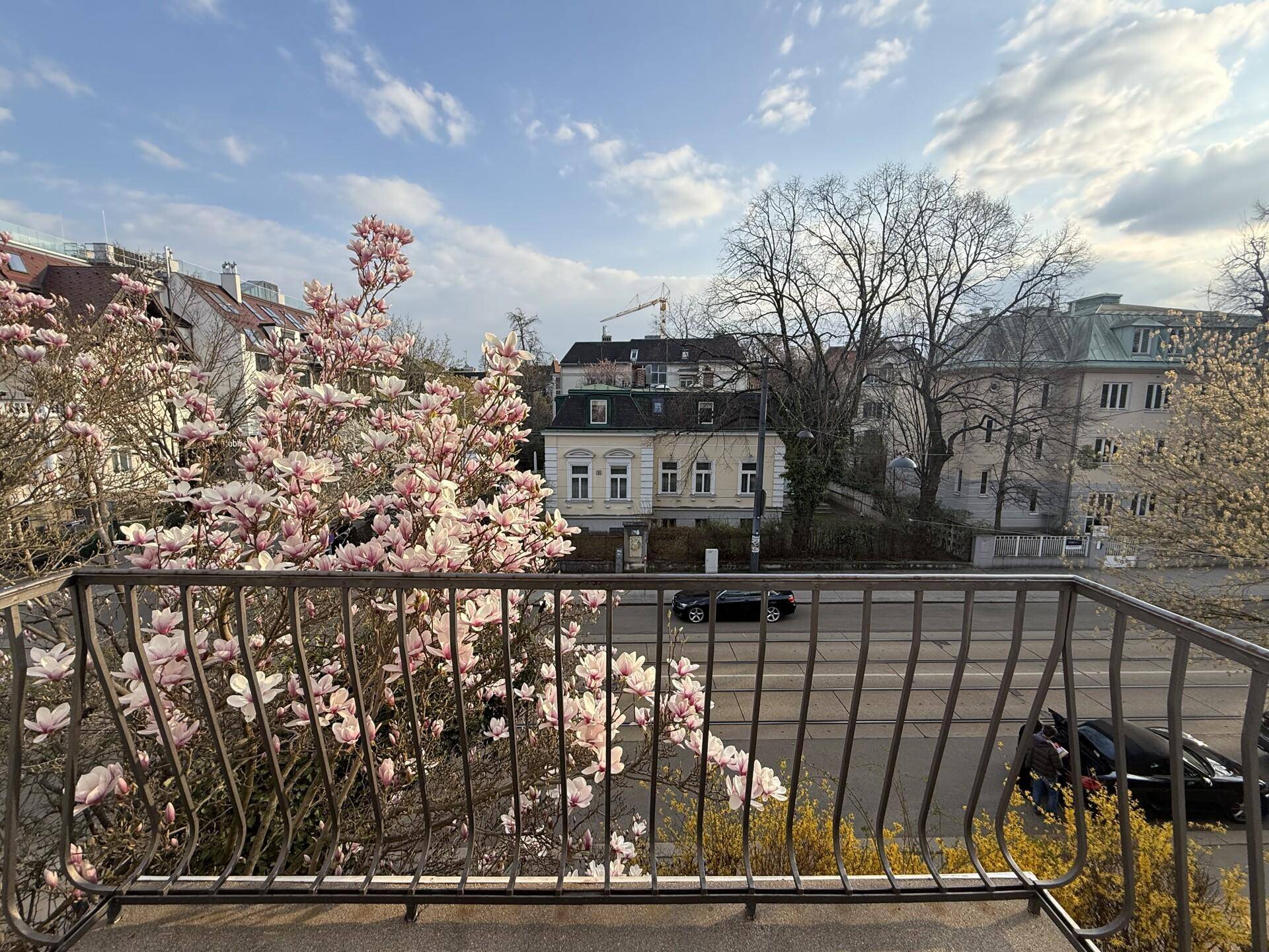 Blick vom Balkon mit blühenden Magnolienbäumen und einer belebten Stadtstraße im Hintergrund.