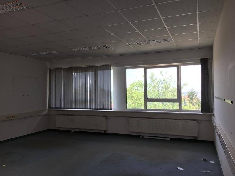 Leeres Büro mit großen Fenstern, Heizkörpern und einer Rasterdecke, bietet viel natürliches Licht.
