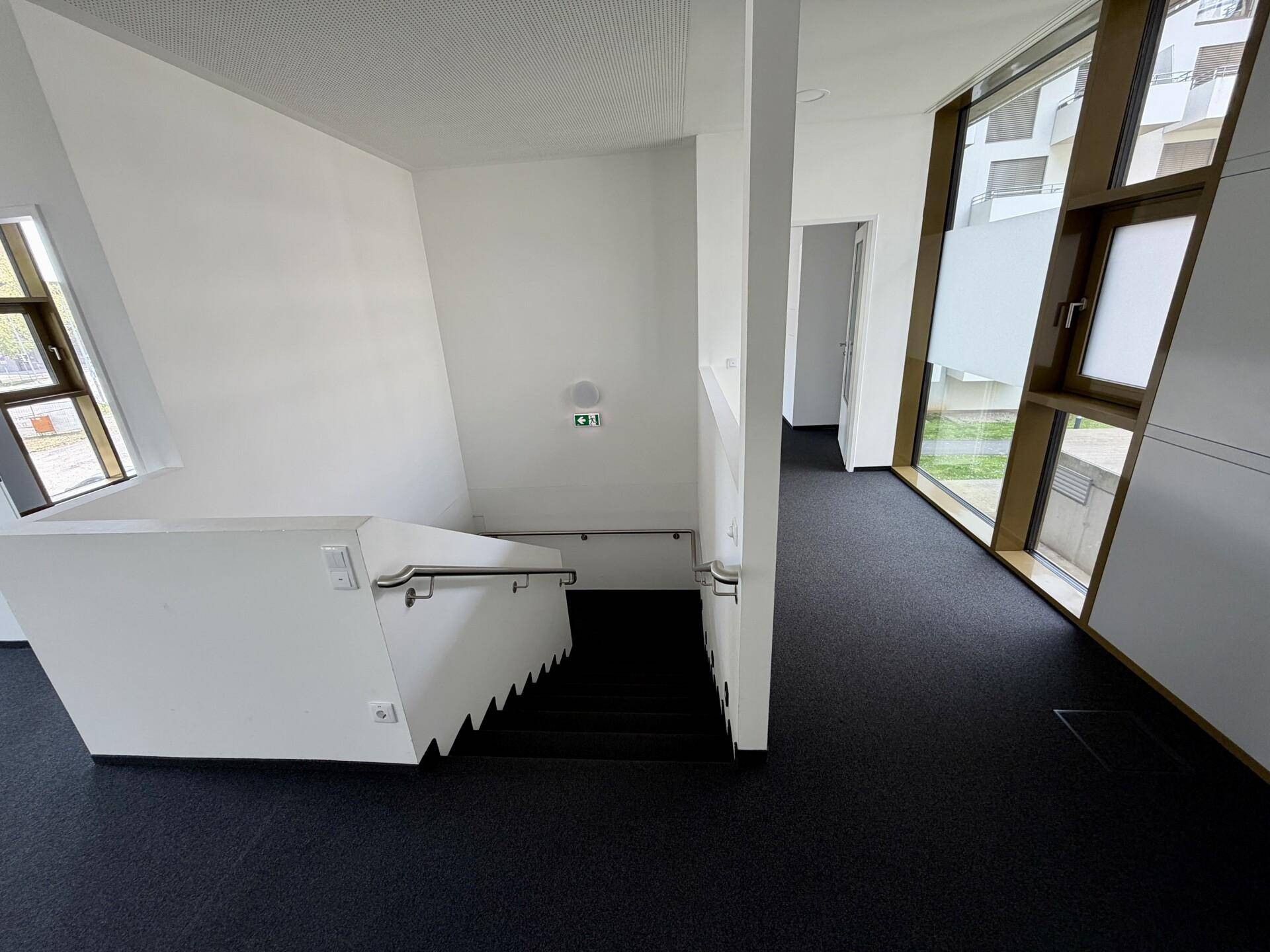Moderner Treppenaufgang mit weißem Geländer und Teppichboden, der verschiedene Ebenen verbindet.