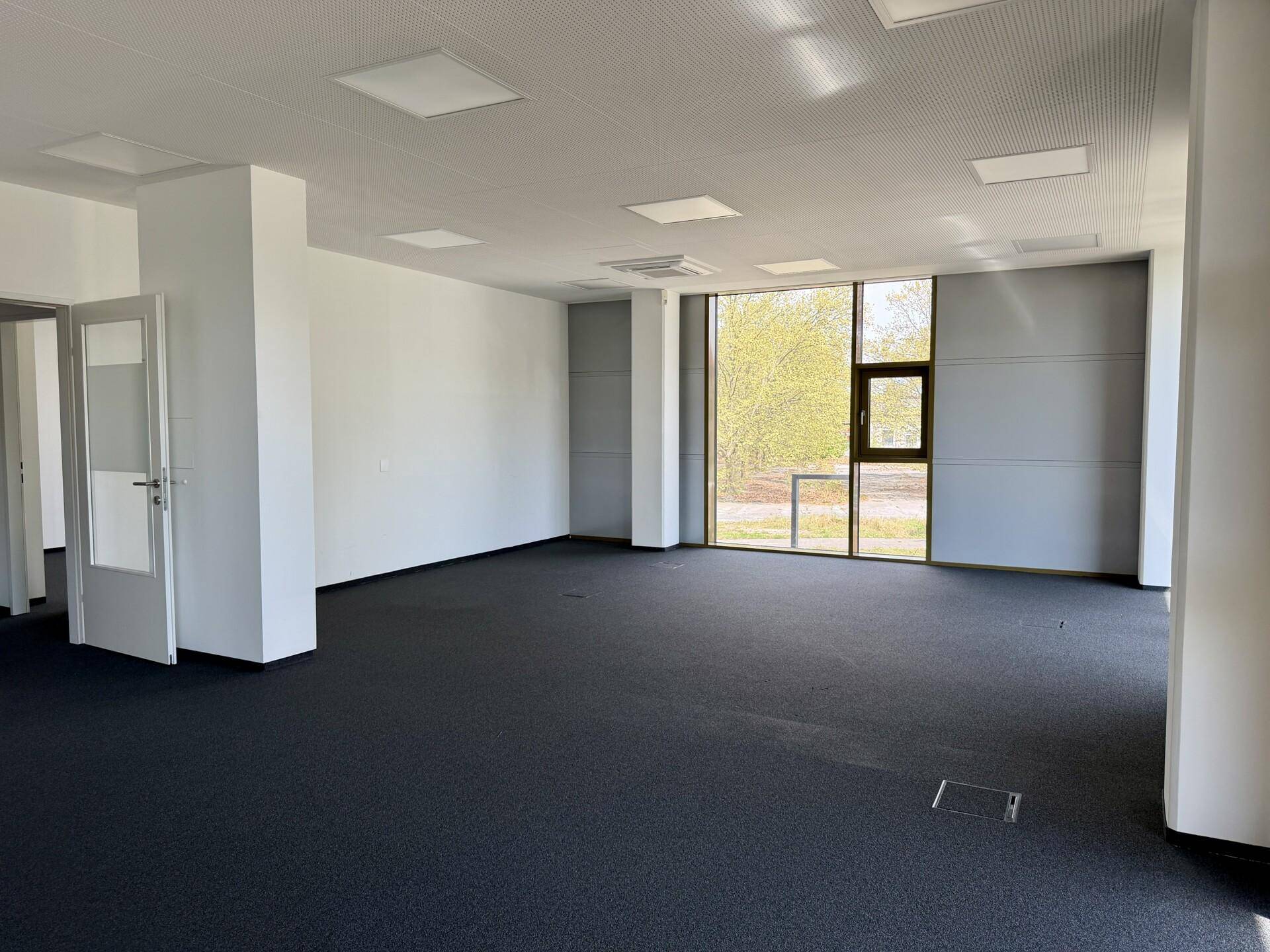 Heller Büroraum mit Teppichboden und großen Fenstern, die einen Blick ins Grüne ermöglichen.