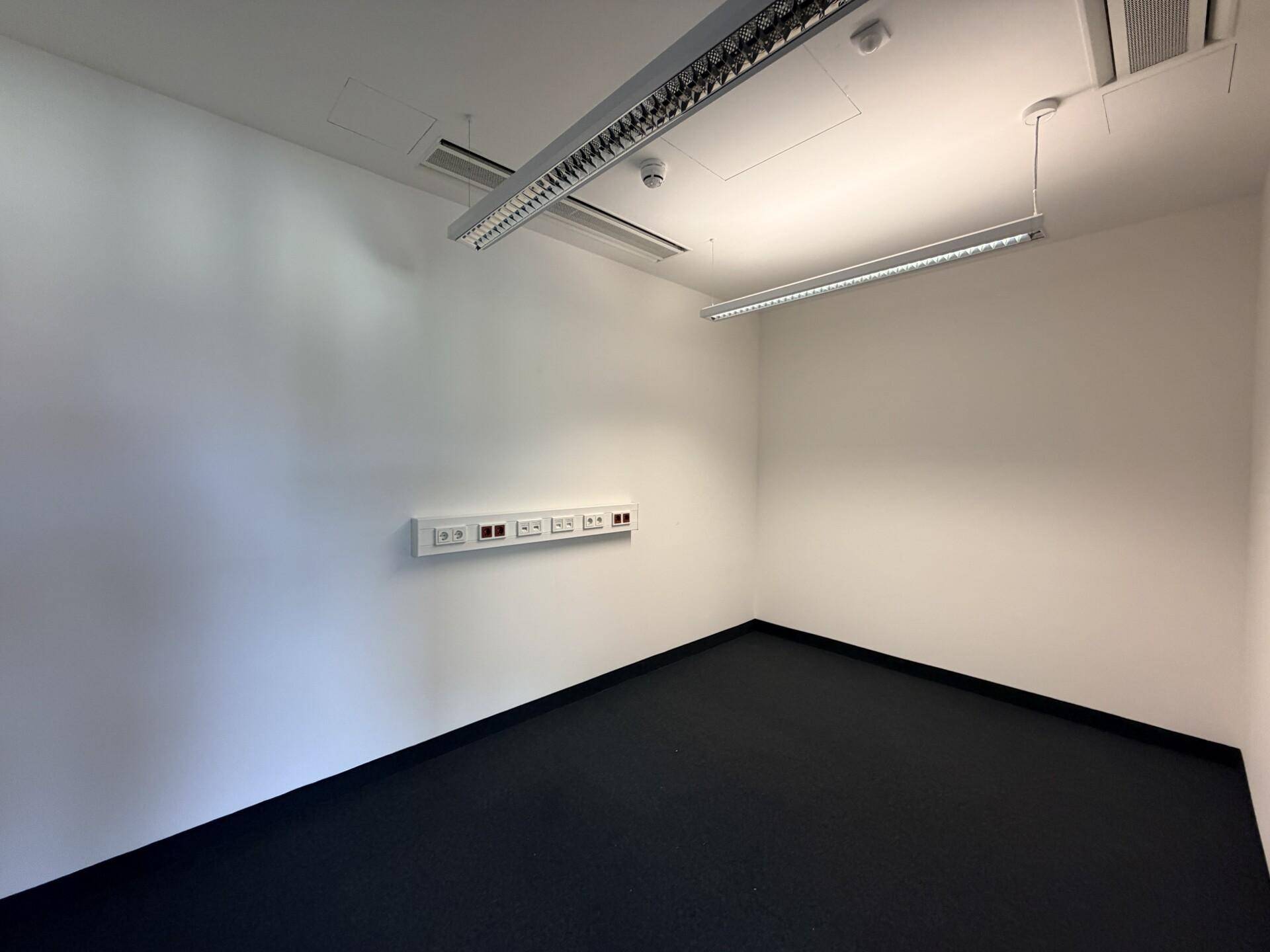 Leeres Büro mit weiß gestrichenen Wänden, dunklem Teppichboden und Deckenbeleuchtung.