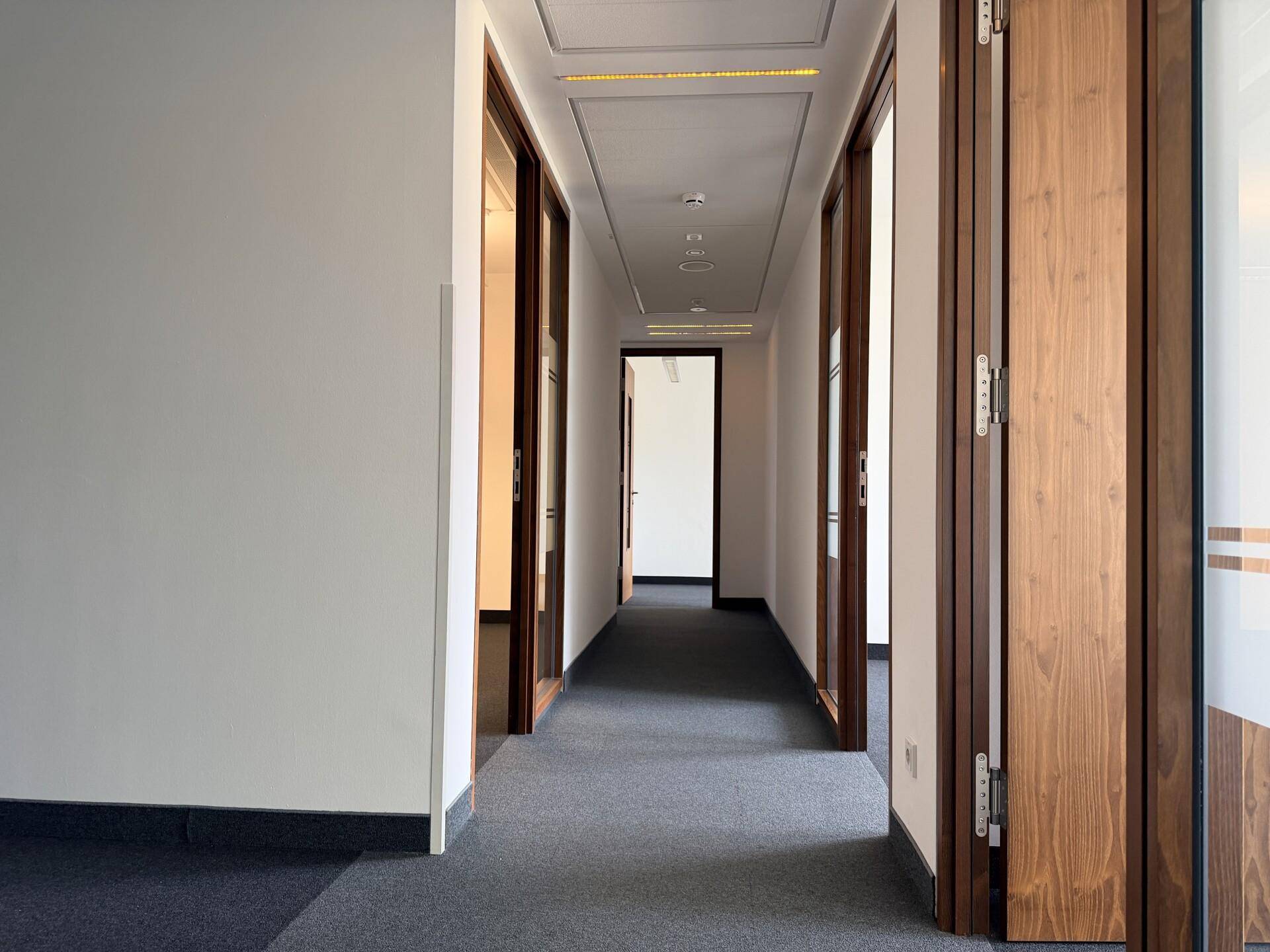Langer Flur mit Holztüren zu den Büros, Teppichboden und moderner Deckenbeleuchtung.