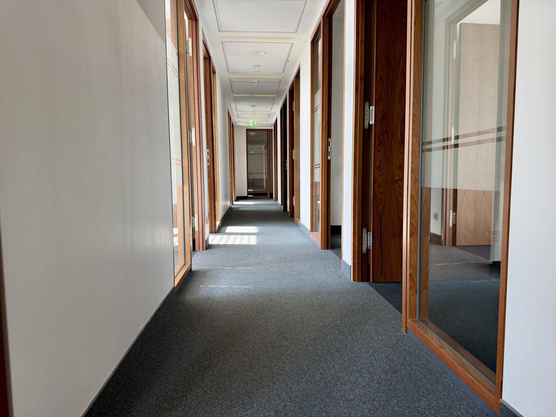 Langer Bürogang mit grauem Teppichboden und vielen Holztüren, die zu den einzelnen Büroräumen führen.