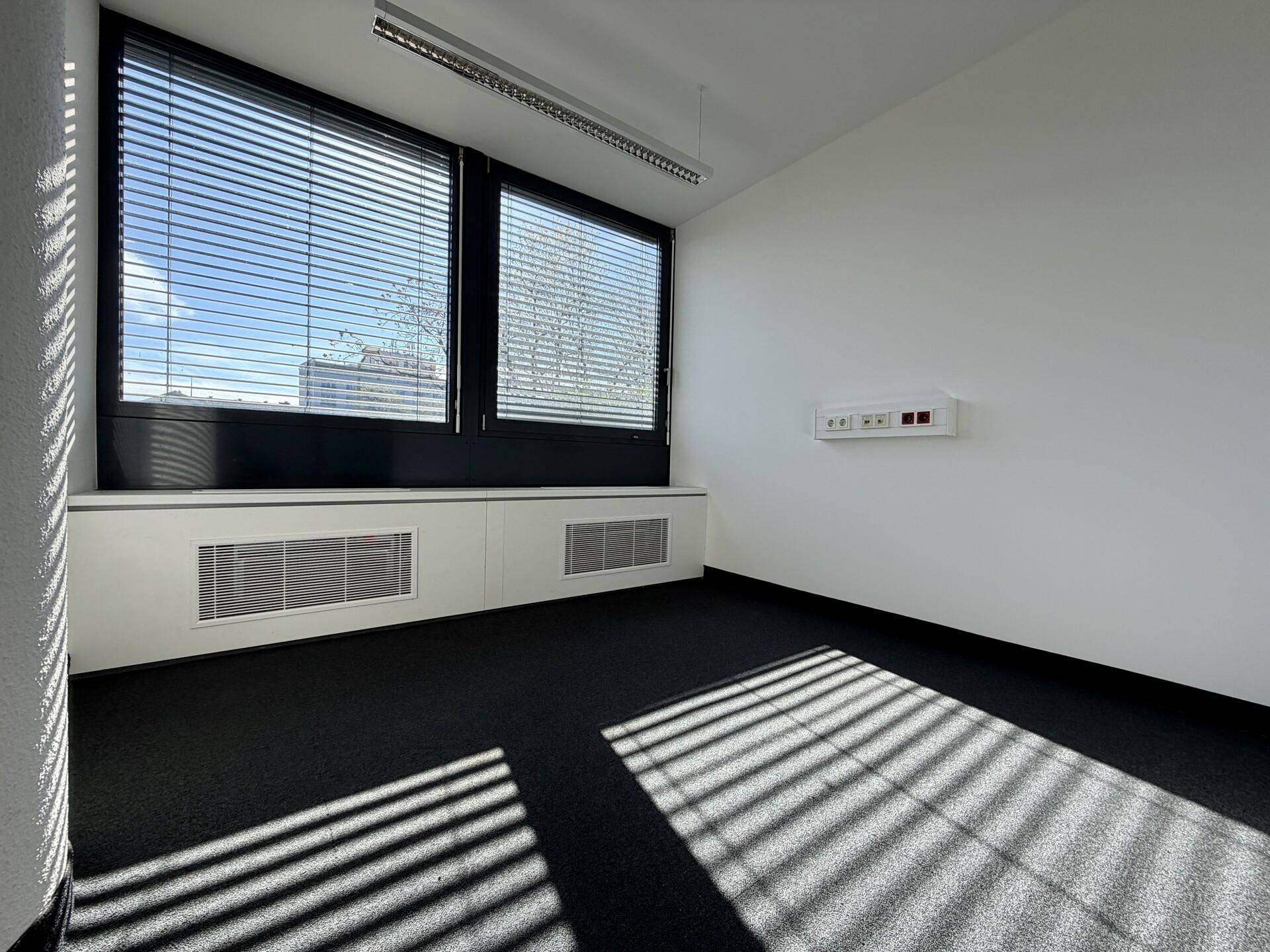Helles Büro mit Teppichboden, großen Fenstern mit Jalousien und viel Sonnenlicht, das den Raum erhellt.