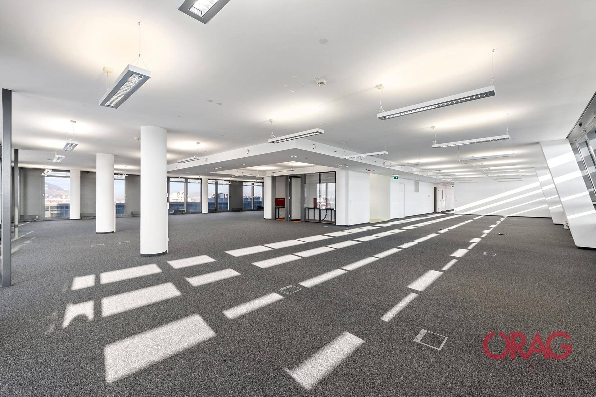 Weitläufiger, heller Bürobereich mit Teppichboden und modernen Deckenleuchten, ideal für Großraumbüros.