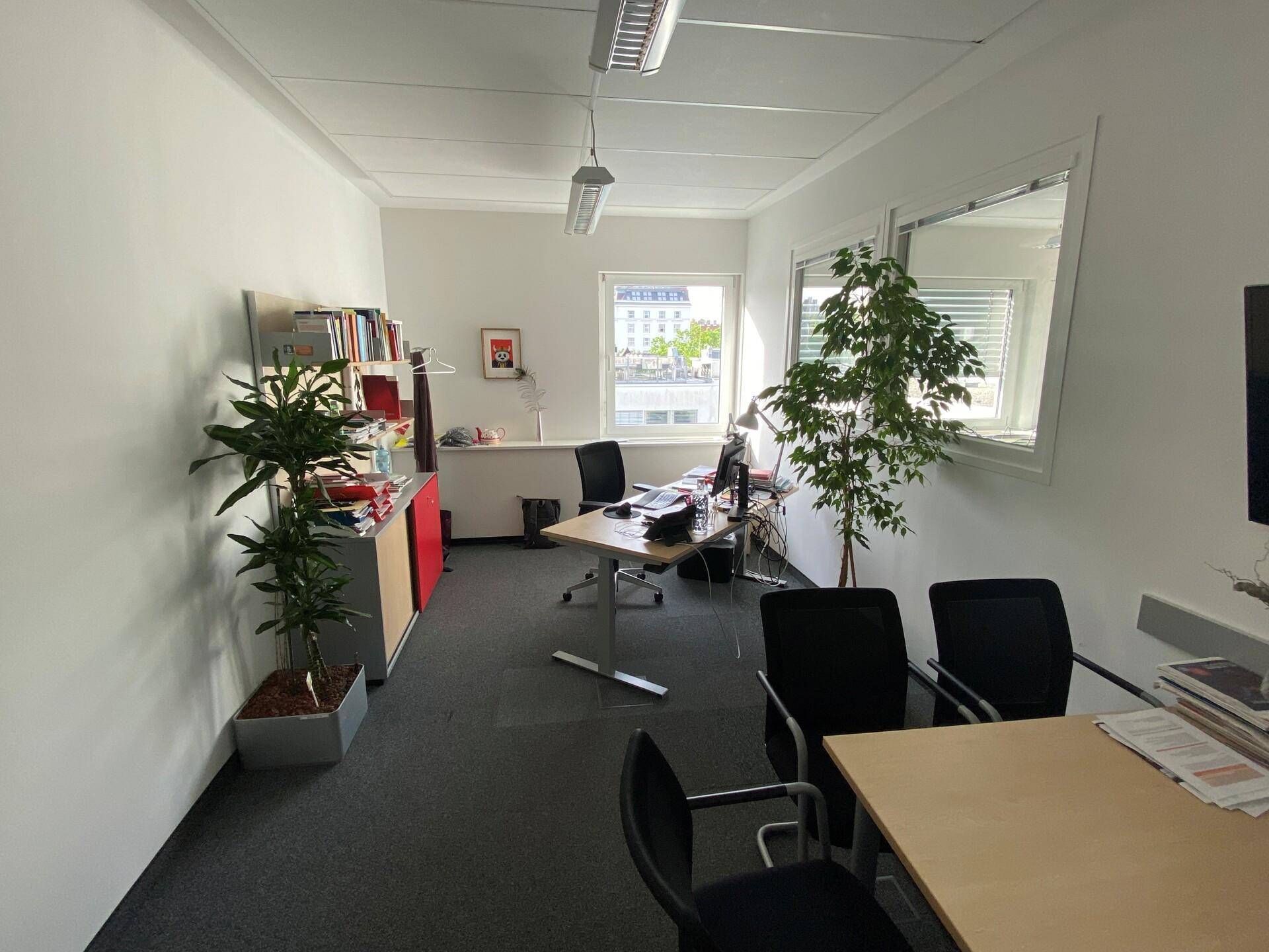 Funktionales Büro mit Schreibtisch, Bürostühlen und Pflanzen, bietet eine angenehme Arbeitsatmosphäre.