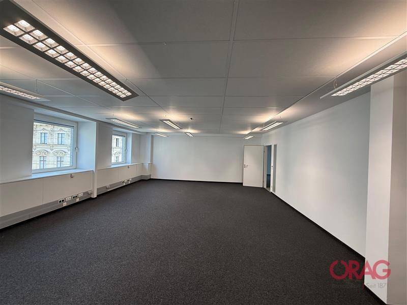Großes, leeres Büro mit Teppichboden, weißen Wänden und mehreren Fenstern, bereit zur Einrichtung.