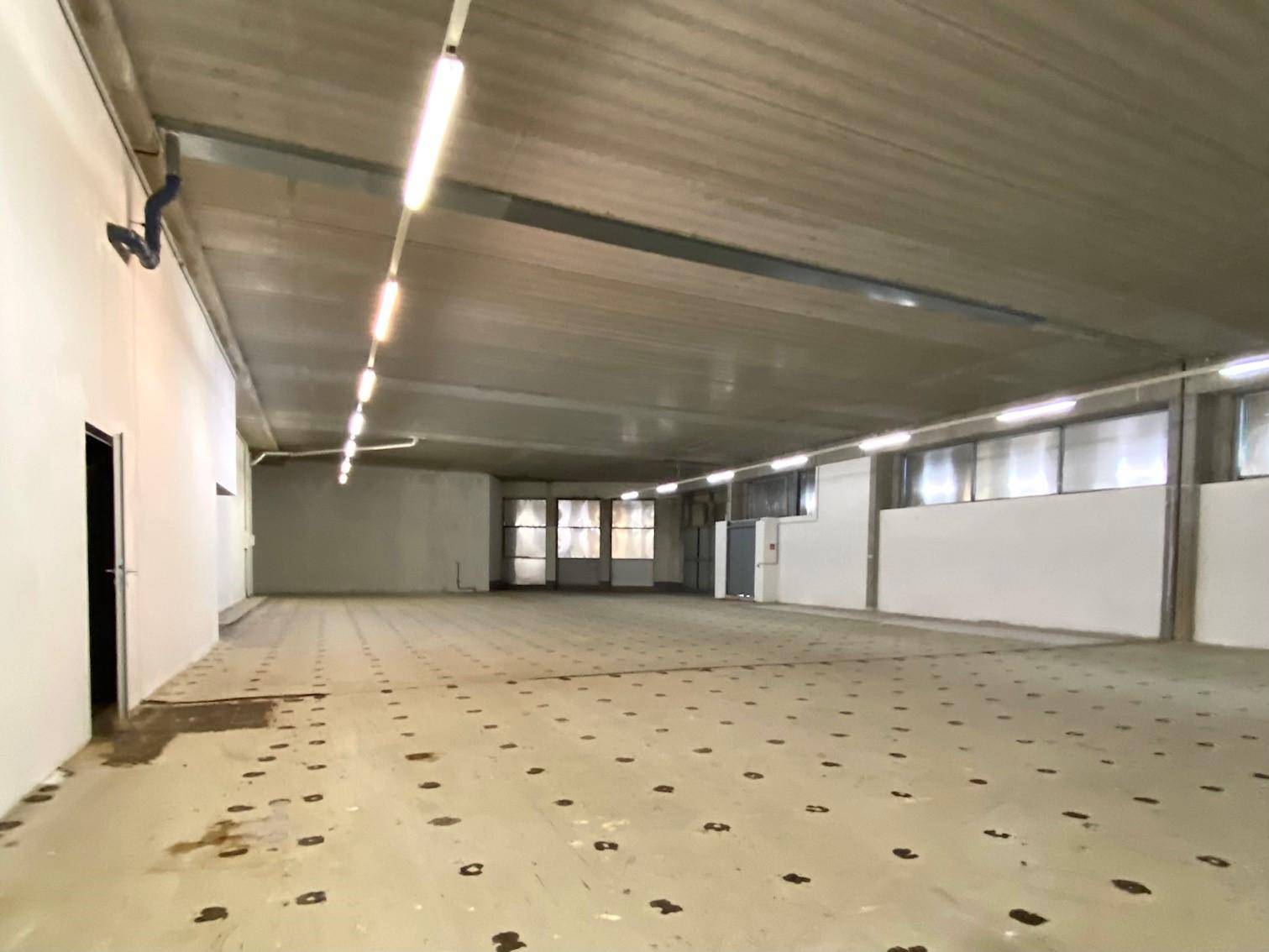 Großer, offener Gewerberaum mit Betonboden, hohen Decken und großen Fensterfronten.