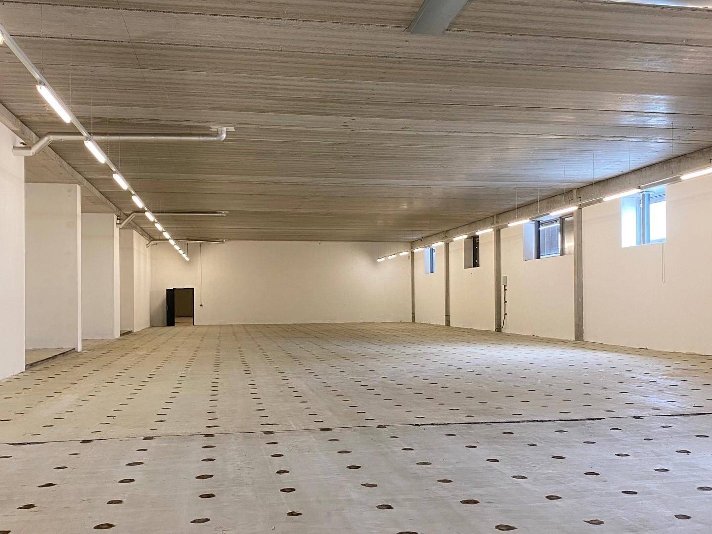 Geräumiger, unmöblierter Gewerberaum mit Betonoberflächen und Reihen von Deckenleuchten.