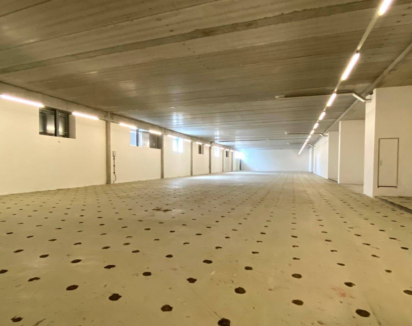 Weitläufiger, heller Gewerberaum mit Sichtbetondecke und vielen Fenstern für Tageslicht.