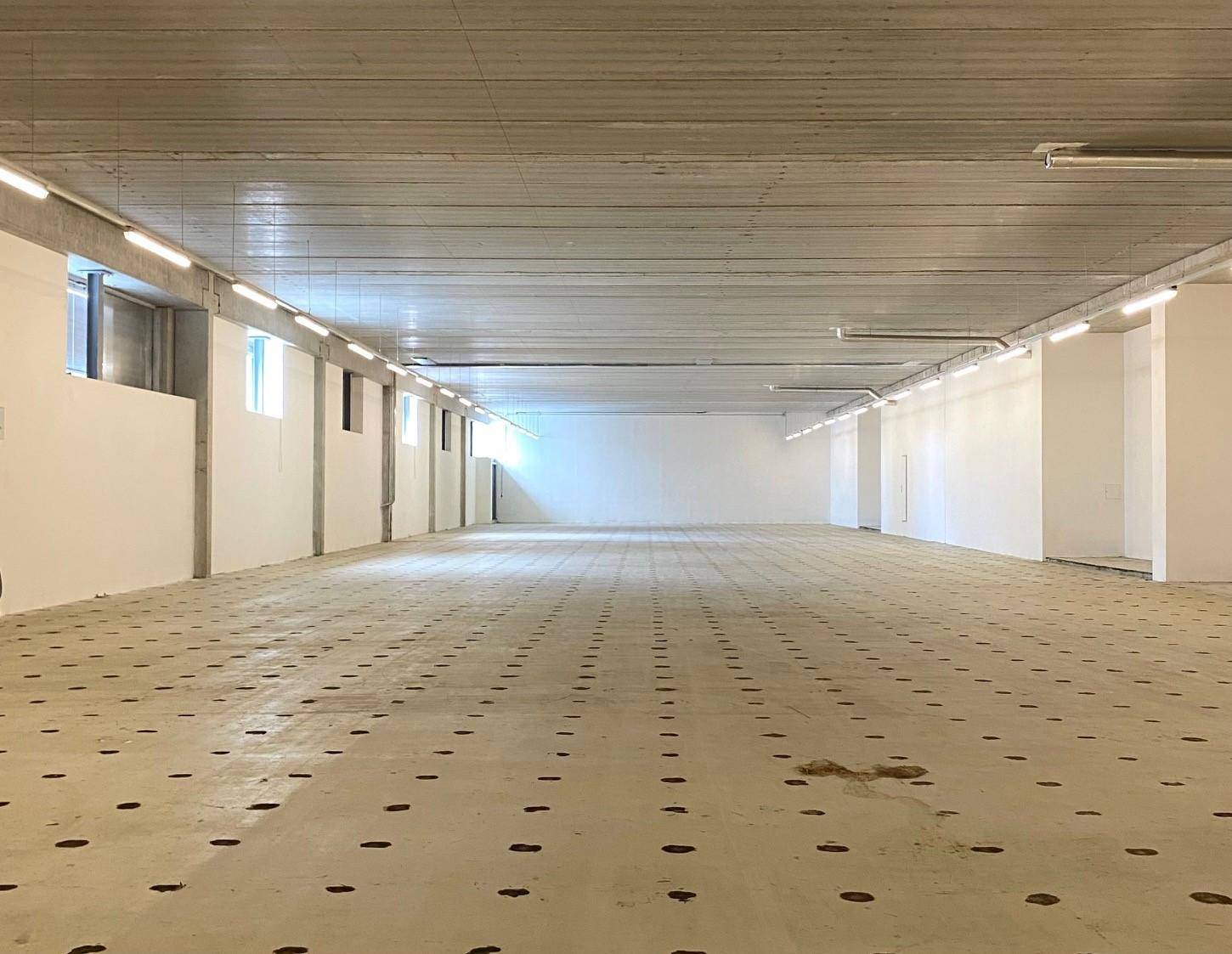 Heller und weitläufiger Gewerberaum mit Betonboden und -decke, ideal für verschiedene Nutzungen.