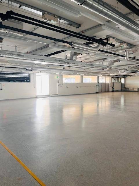 Geräumige Industriehalle mit glänzendem Betonboden, großen Fenstern und sichtbaren Installationen an der Decke.