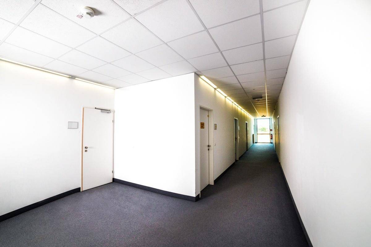 Reinraum- und ESD-Produktionsflächen in 8380 Jennersdorf zu mieten - Ansicht 6
