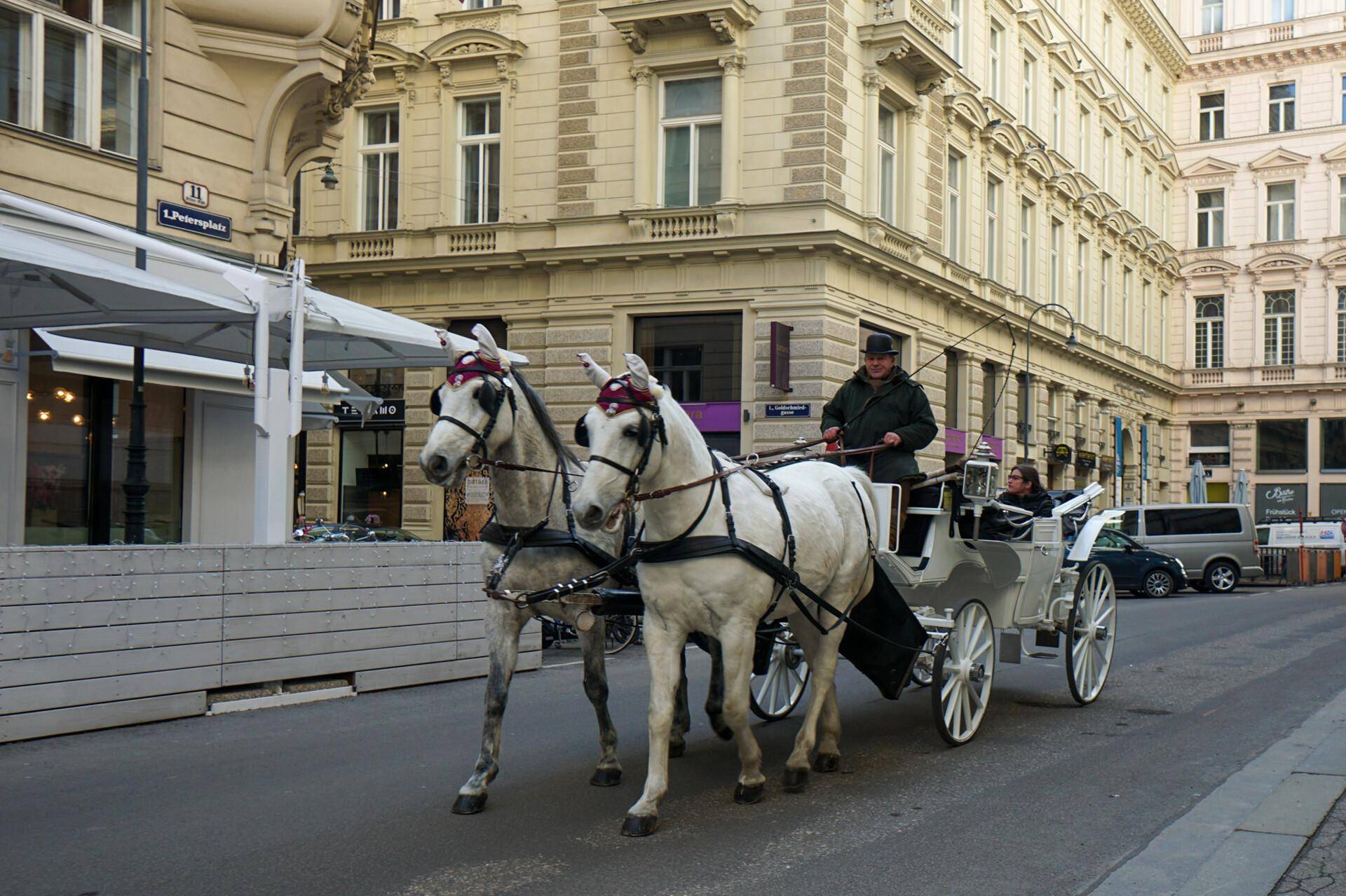 Wundervolle 5-Zimmer-Altbauwohnung nahe Rathaus - Sanierung nach Ihren Vorstellungen - zu mieten in 1010 Wien - Więcej