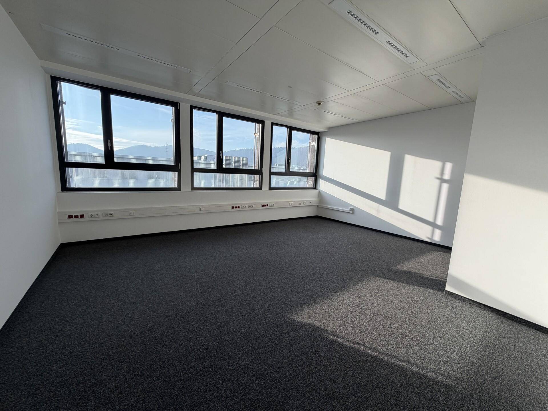 Geräumiges Büro mit Teppichboden und einer langen Fensterfront, die den Raum hell erleuchtet.