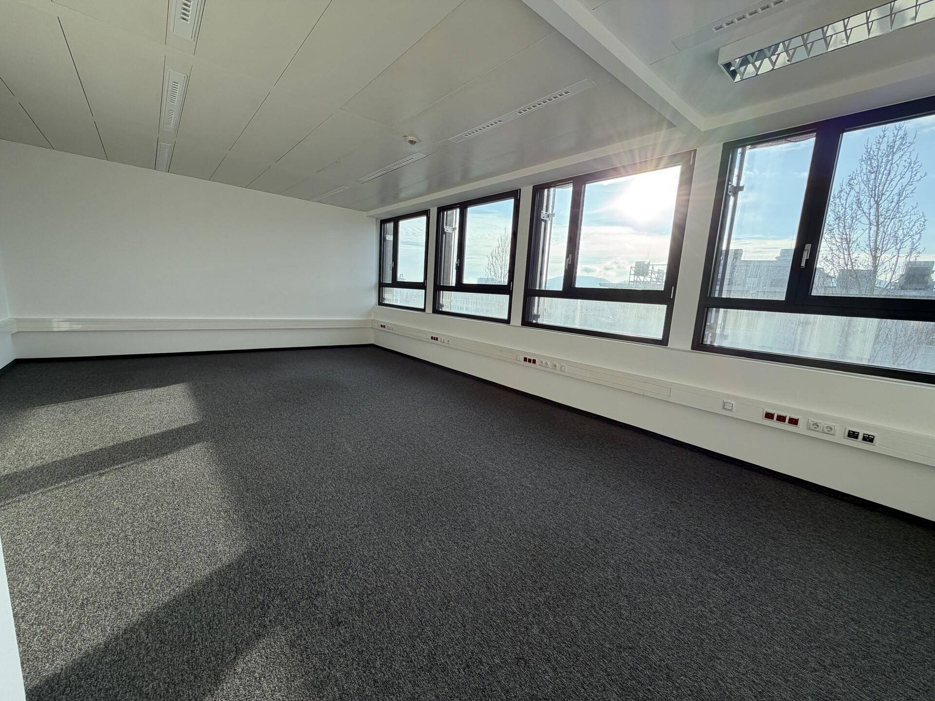 Helles Büro mit Teppichboden und großen Fenstern, die Sonnenlicht und eine weite Aussicht bieten.