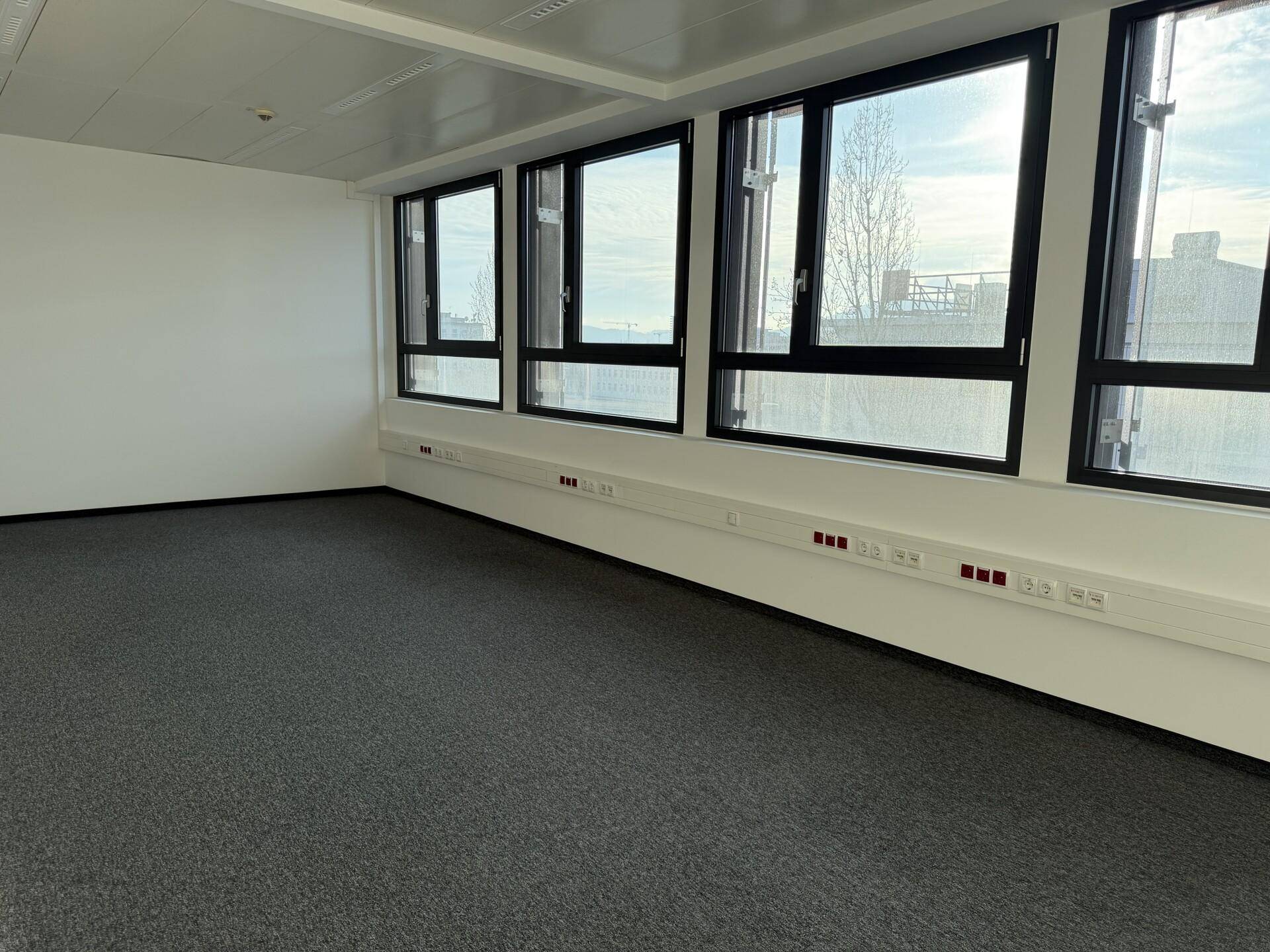 Geräumiges Büro mit Teppichboden und einer langen Fensterfront, die den Raum mit Licht füllt.