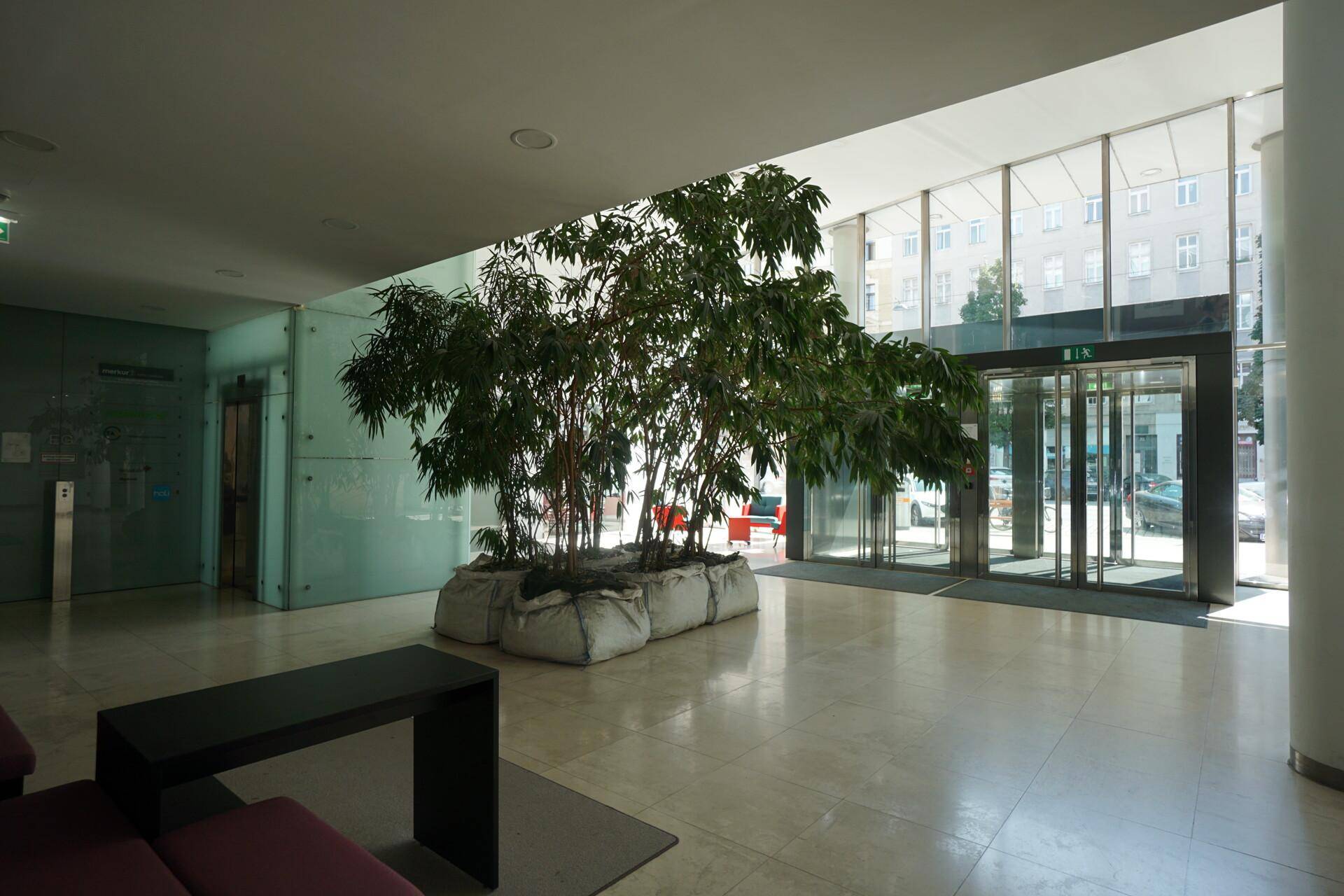 Geräumige Lobby mit viel Tageslicht, einer großen Pflanzeninstallation und einem modernen Aufzugsbereich.