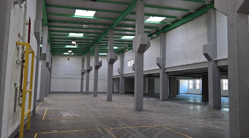 Große, leere Lagerhalle mit hohen Decken, vielen Säulen und Oberlichtern für natürliches Licht.