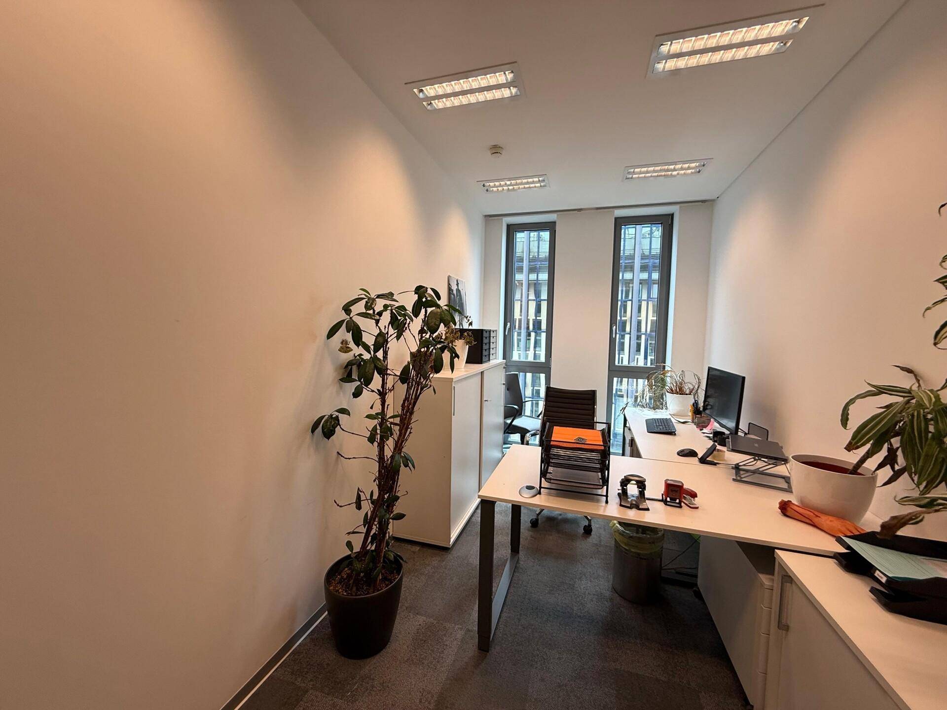 Helles Büro mit einem Arbeitsplatz, Pflanzen und Teppichboden, ideal für konzentriertes Arbeiten.