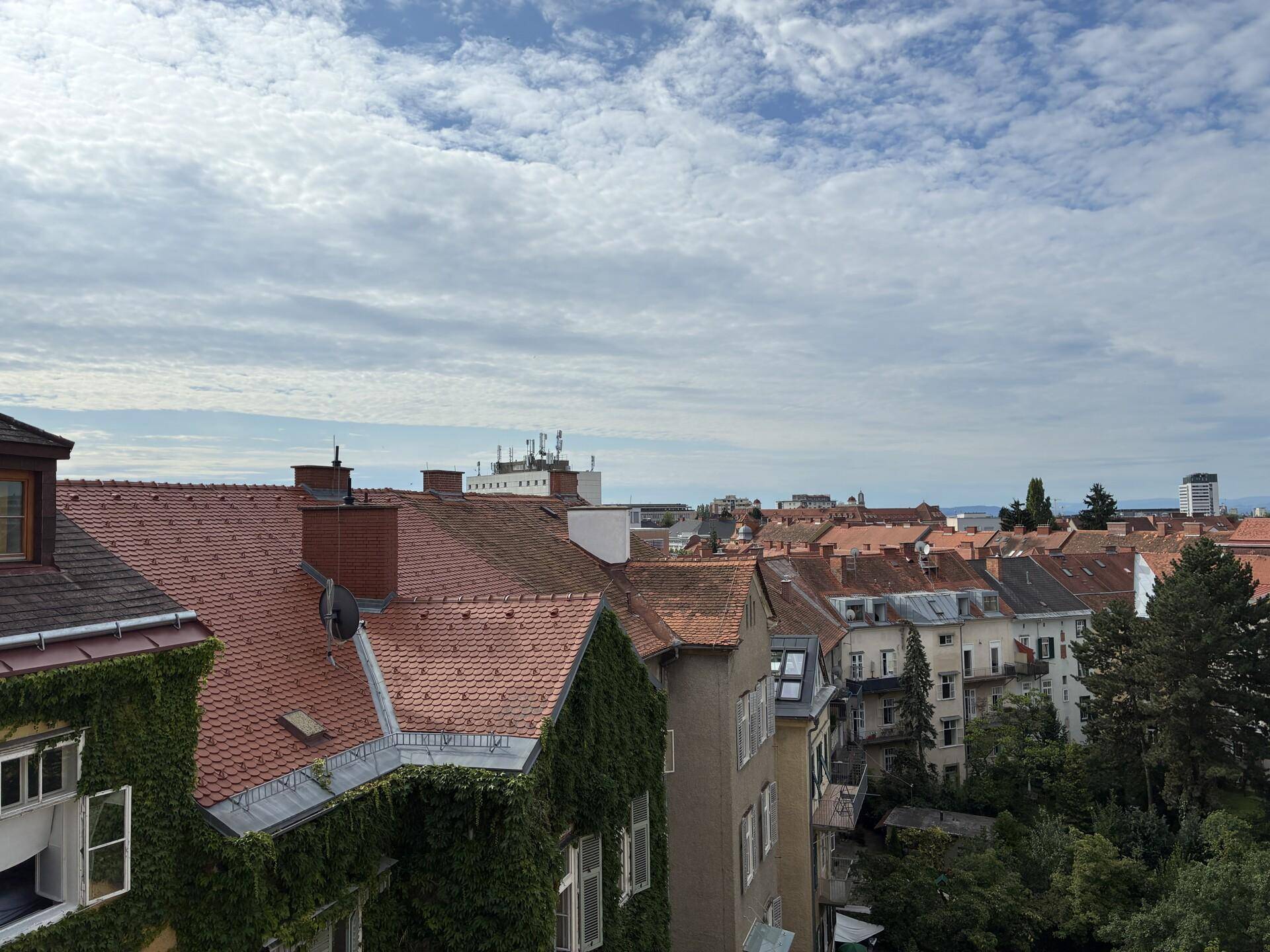 Weitläufiger Blick über die Dächer der Stadt mit roten Ziegeln und bewölktem Himmel.