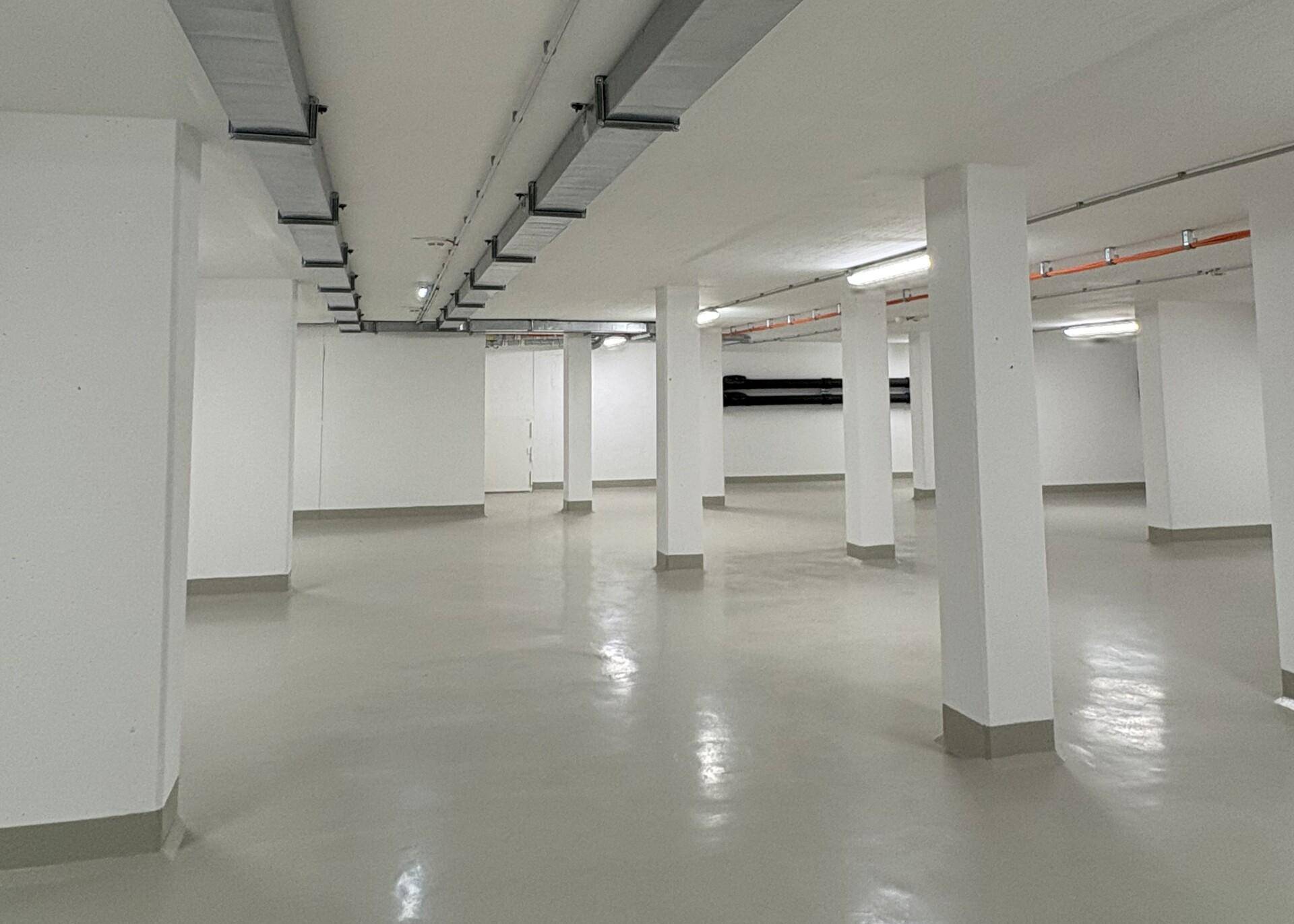 Geräumiger, leerer Kellerraum mit vielen weißen Säulen, hellem Boden und sichtbaren Deckeninstallationen.