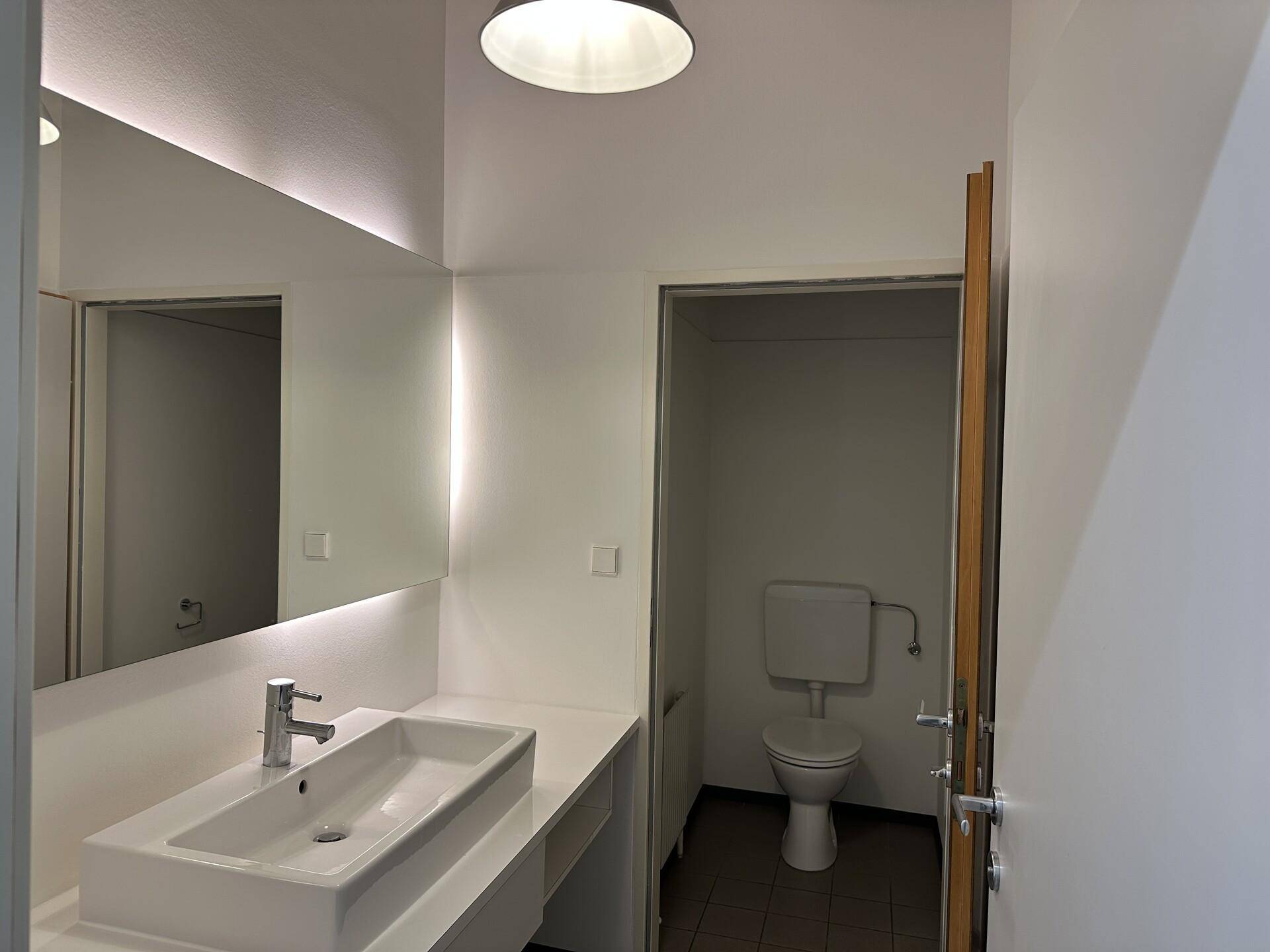 Modernes Badezimmer mit Waschbecken, großem Spiegel und separatem WC-Bereich.