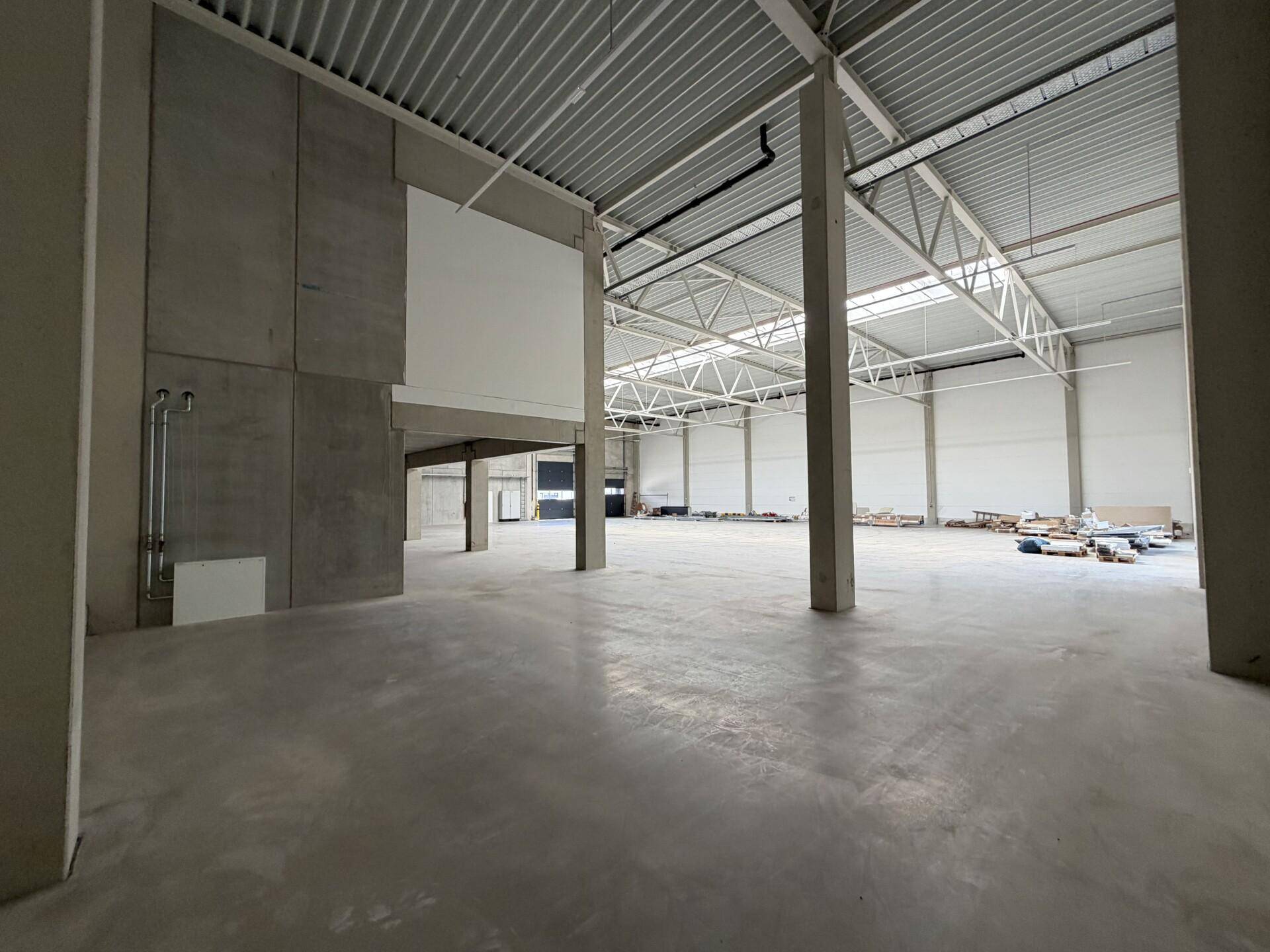 Weitläufige, leere Lagerhalle mit hohen Decken, Betonpfeilern und viel natürlichem Licht durch Oberlichter.