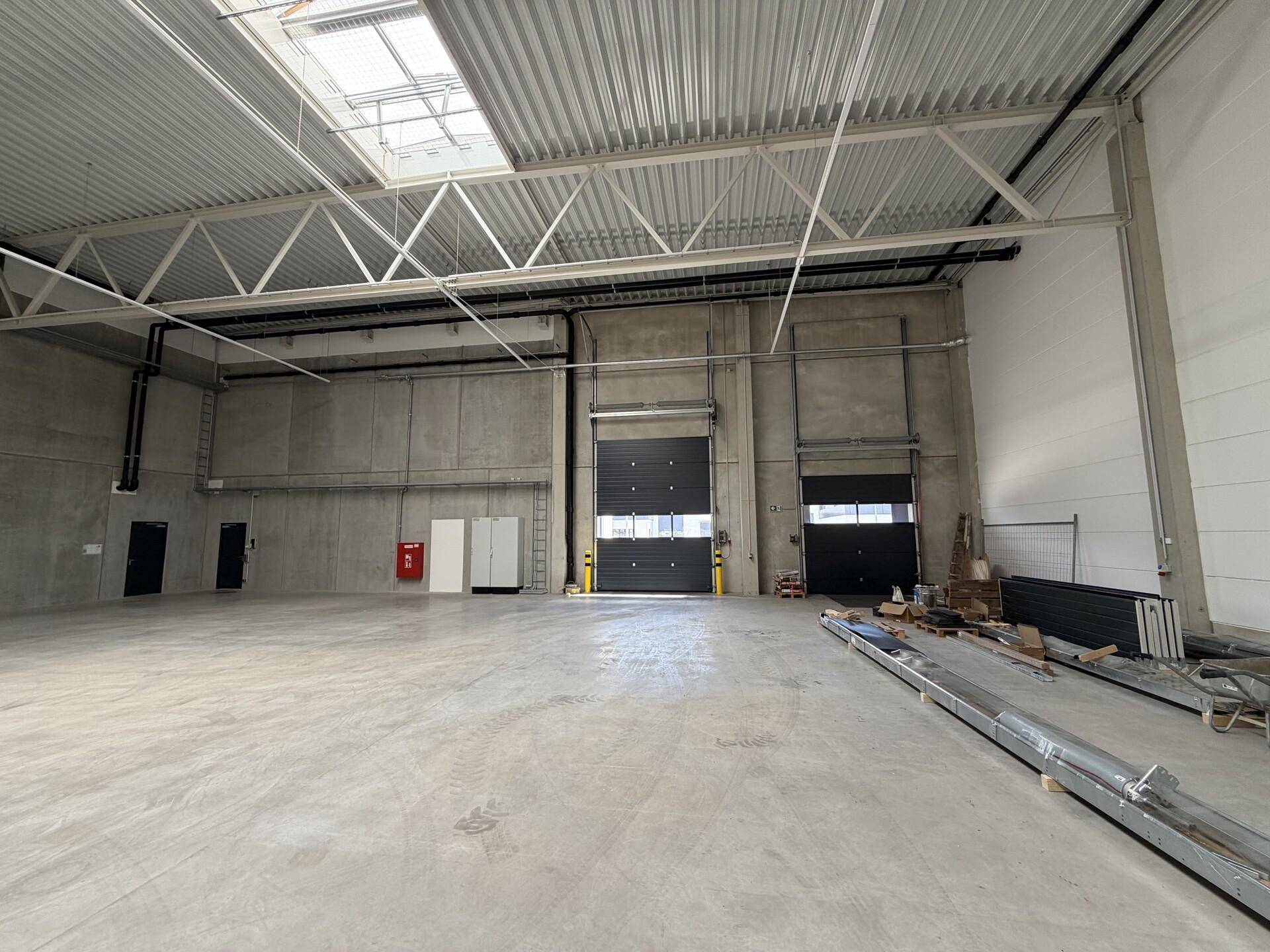 Geräumige Lagerhalle mit hohen Decken, Betonboden und mehreren großen Rolltoren für den Zugang.