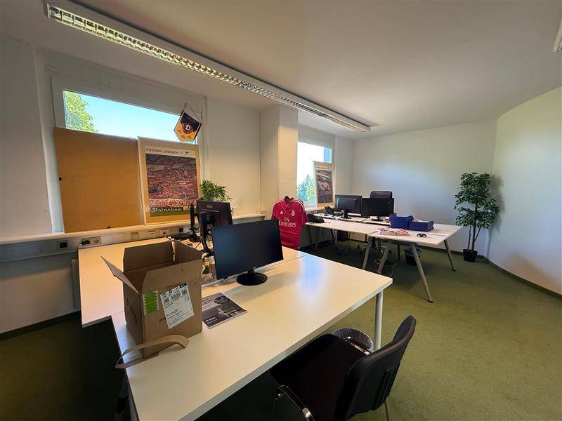 Großes Büro mit mehreren Arbeitsplätzen, Computern und Fenstern mit Blick ins Grüne.