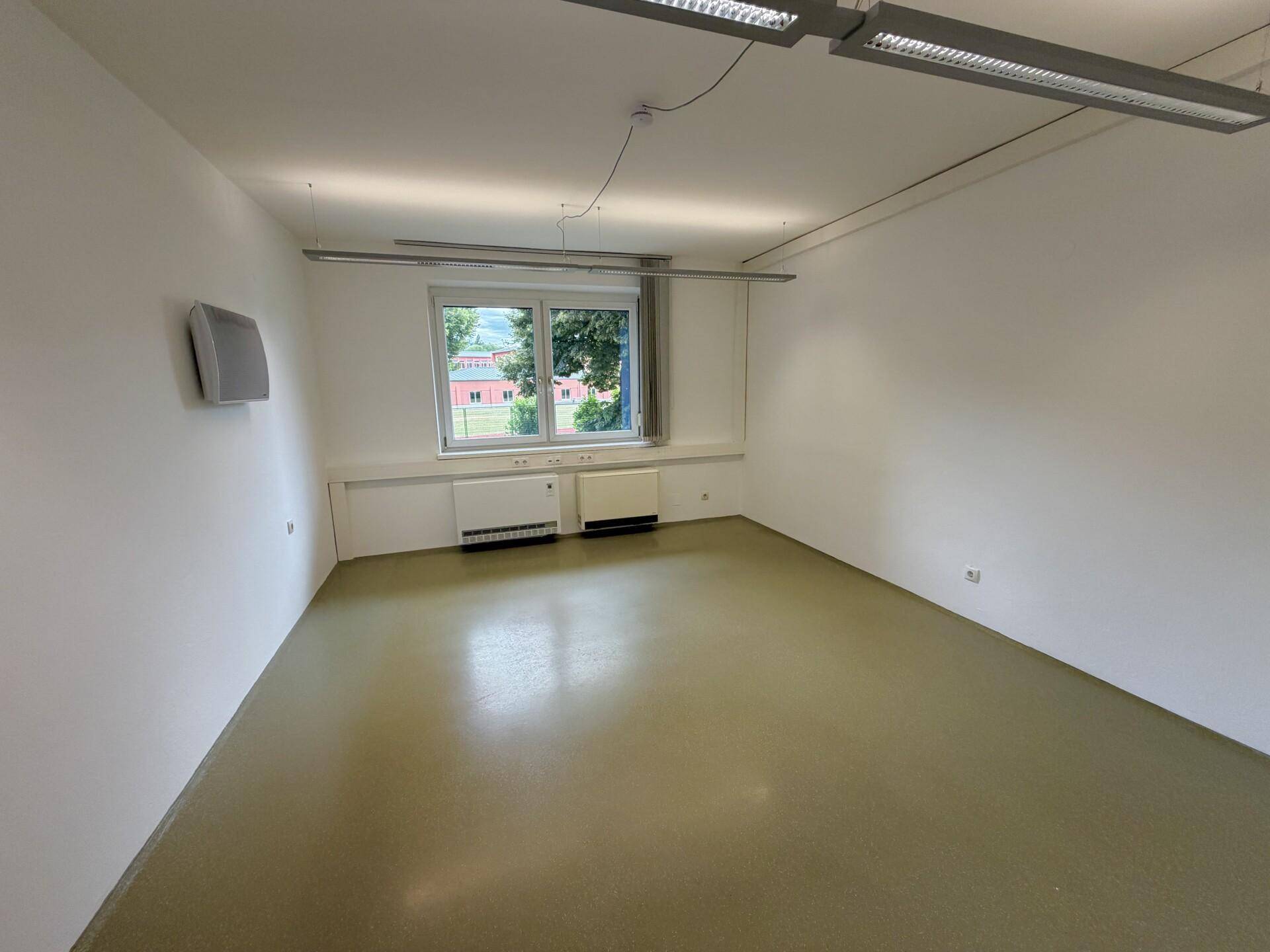 Geräumiger Büroraum mit großen Fenstern, Blick ins Grüne und effizienter Beleuchtung.