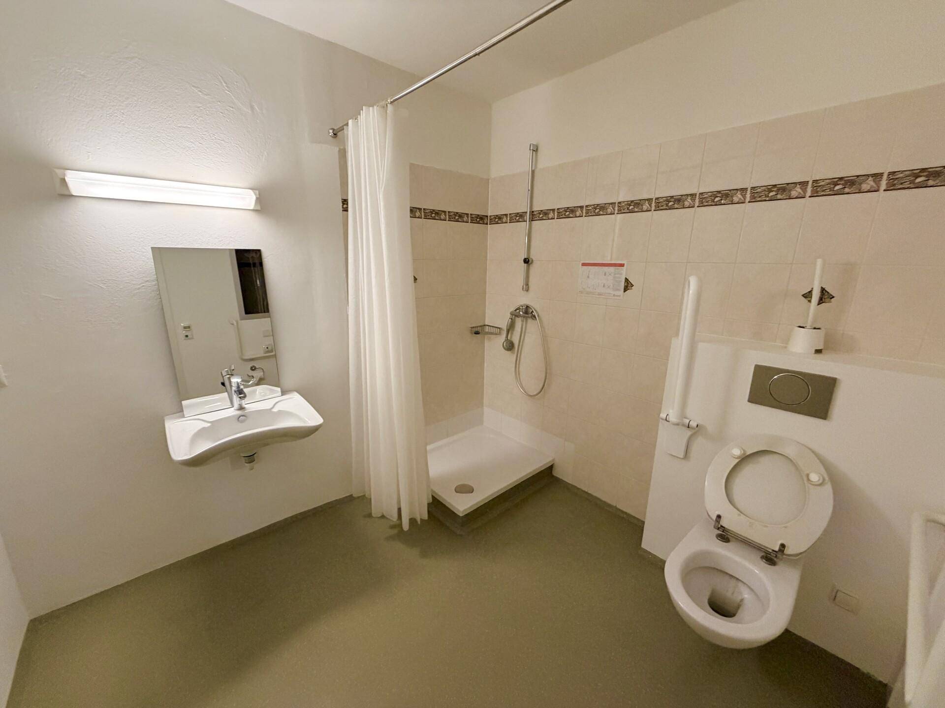 Barrierefreies Badezimmer mit Dusche, Wand-WC, Waschbecken und Haltegriffen.
