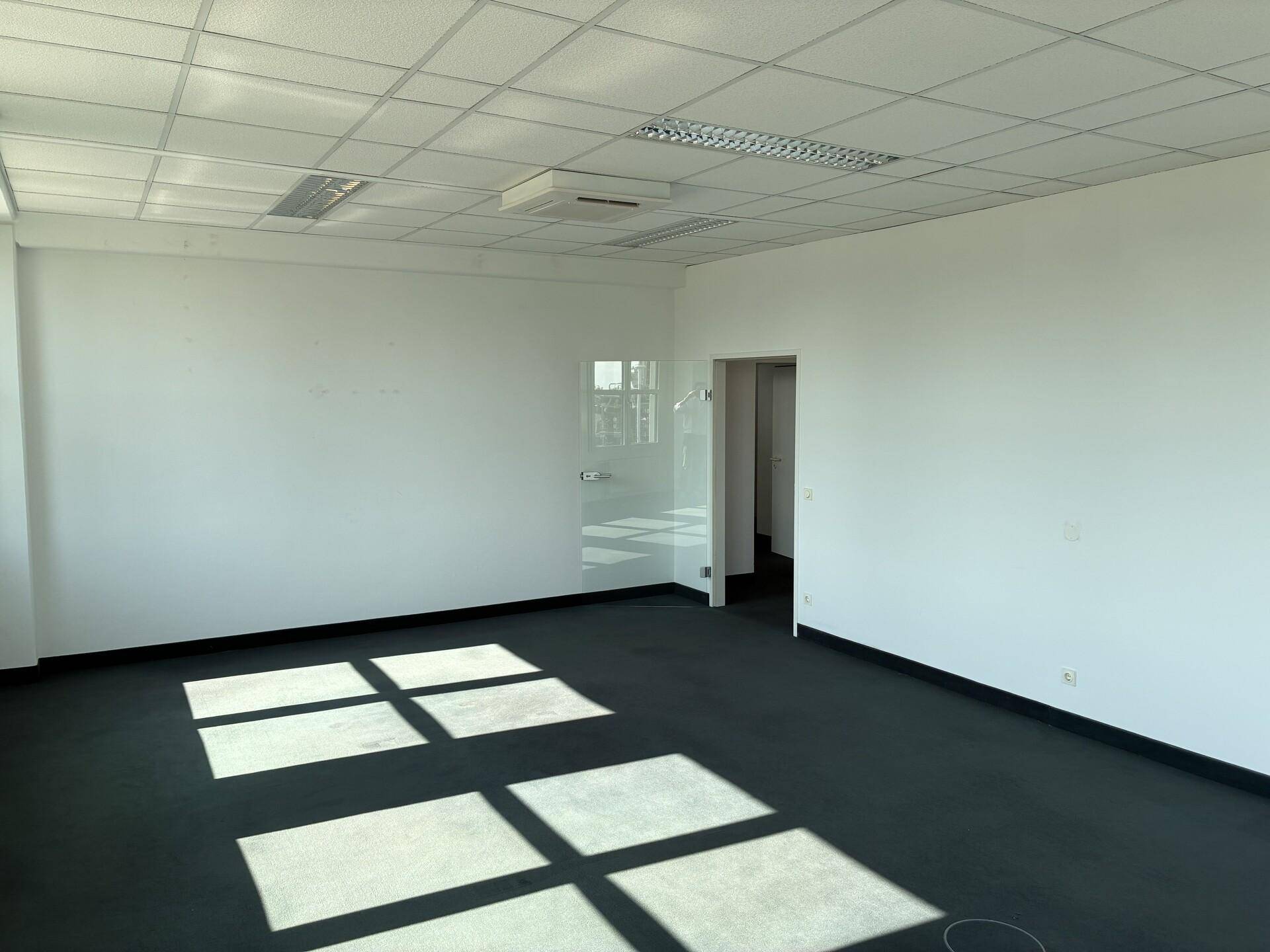 Geräumiges Büro mit viel Tageslicht durch große Fenster, die helle Lichtflecken auf den dunklen Boden werfen.