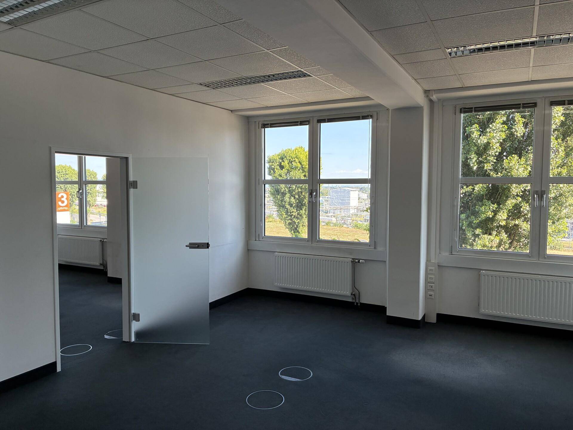 Helles Büro mit Glaswand und Blick ins Grüne, ausgestattet mit Teppichboden und Heizkörpern.