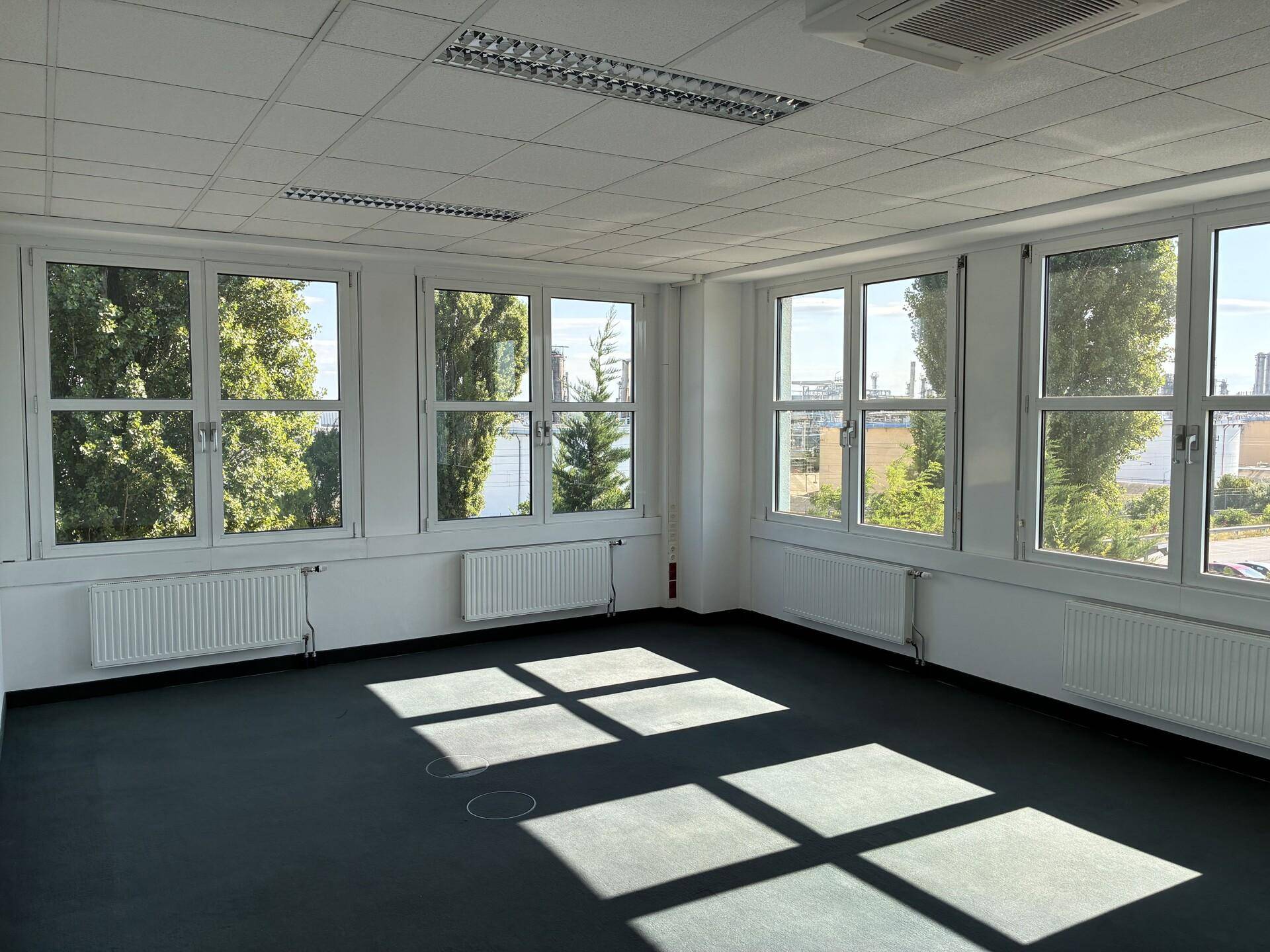 Leeres Büro mit vielen Fenstern, die einen Blick ins Grüne und auf die Umgebung bieten, mit dunklem Teppichboden.