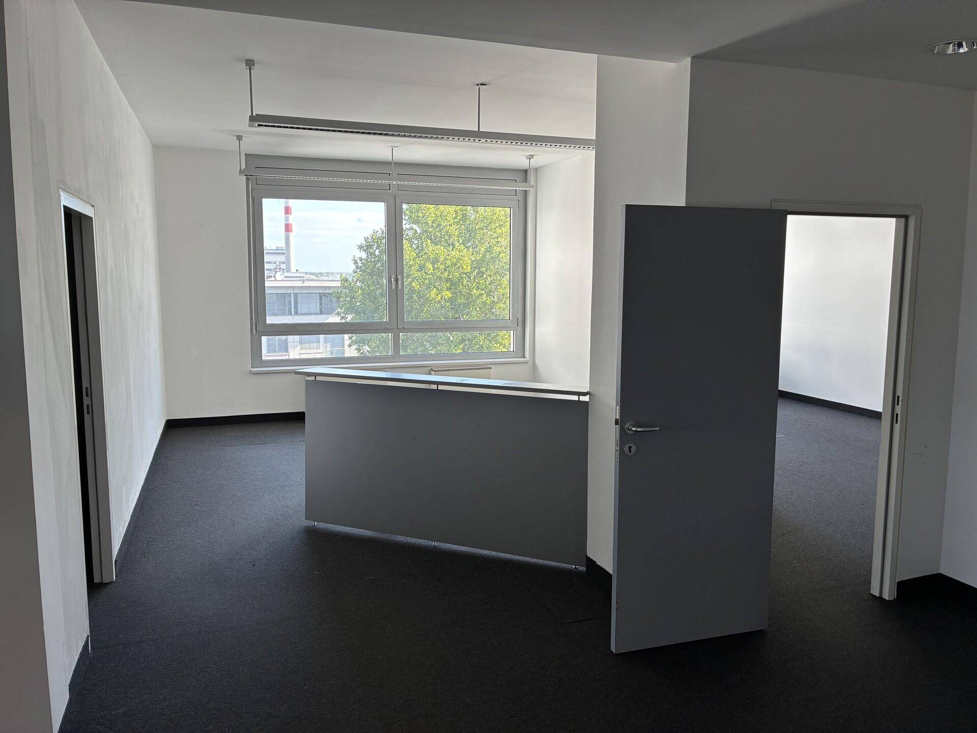 Bürofläche mit Teppichboden, Empfangstheke und Zugang zu weiteren Räumen.
