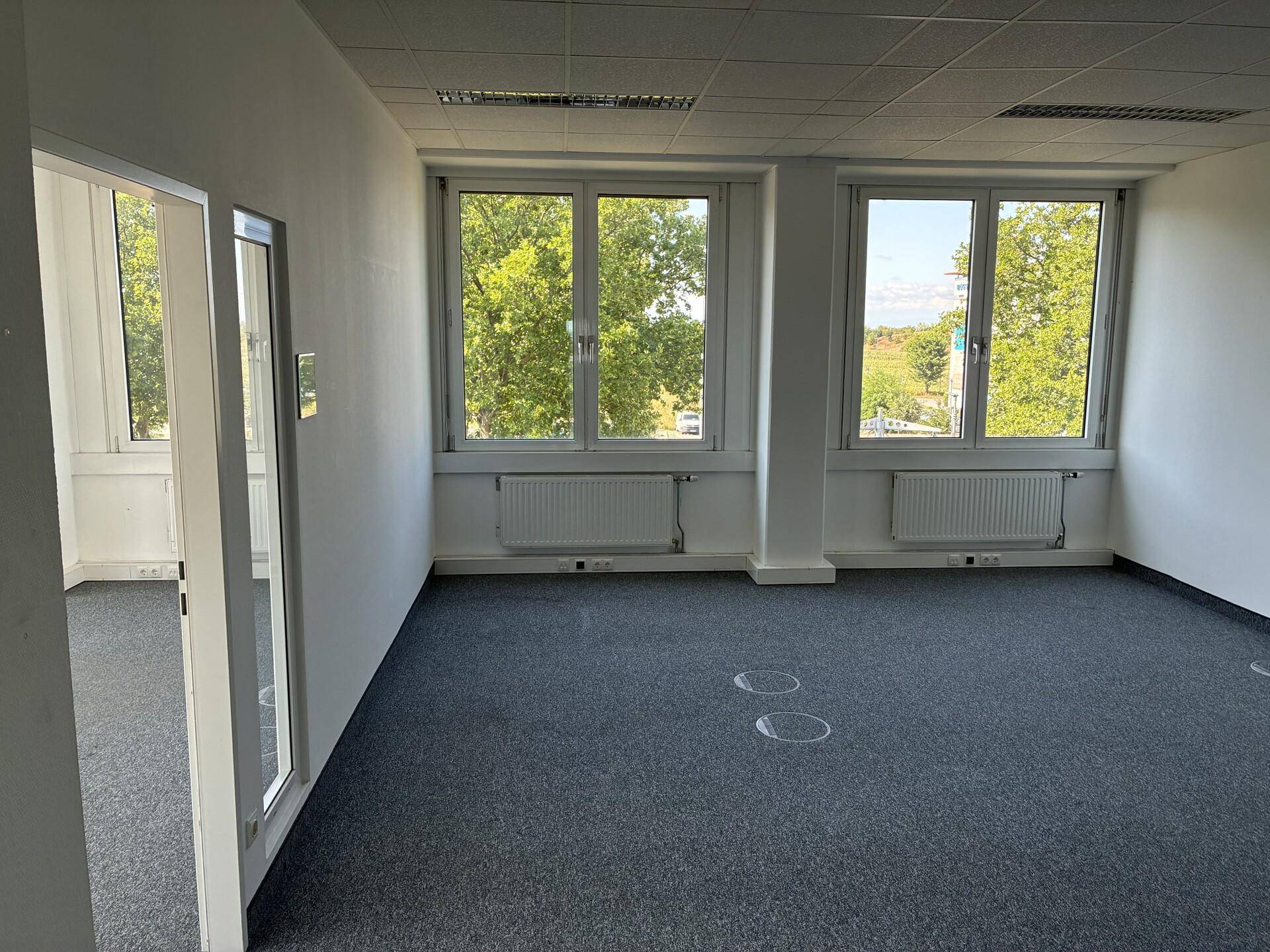 Heller Büroraum mit Teppichboden, großen Fenstern und Blick auf grüne Bäume, ausgestattet mit Heizkörpern.