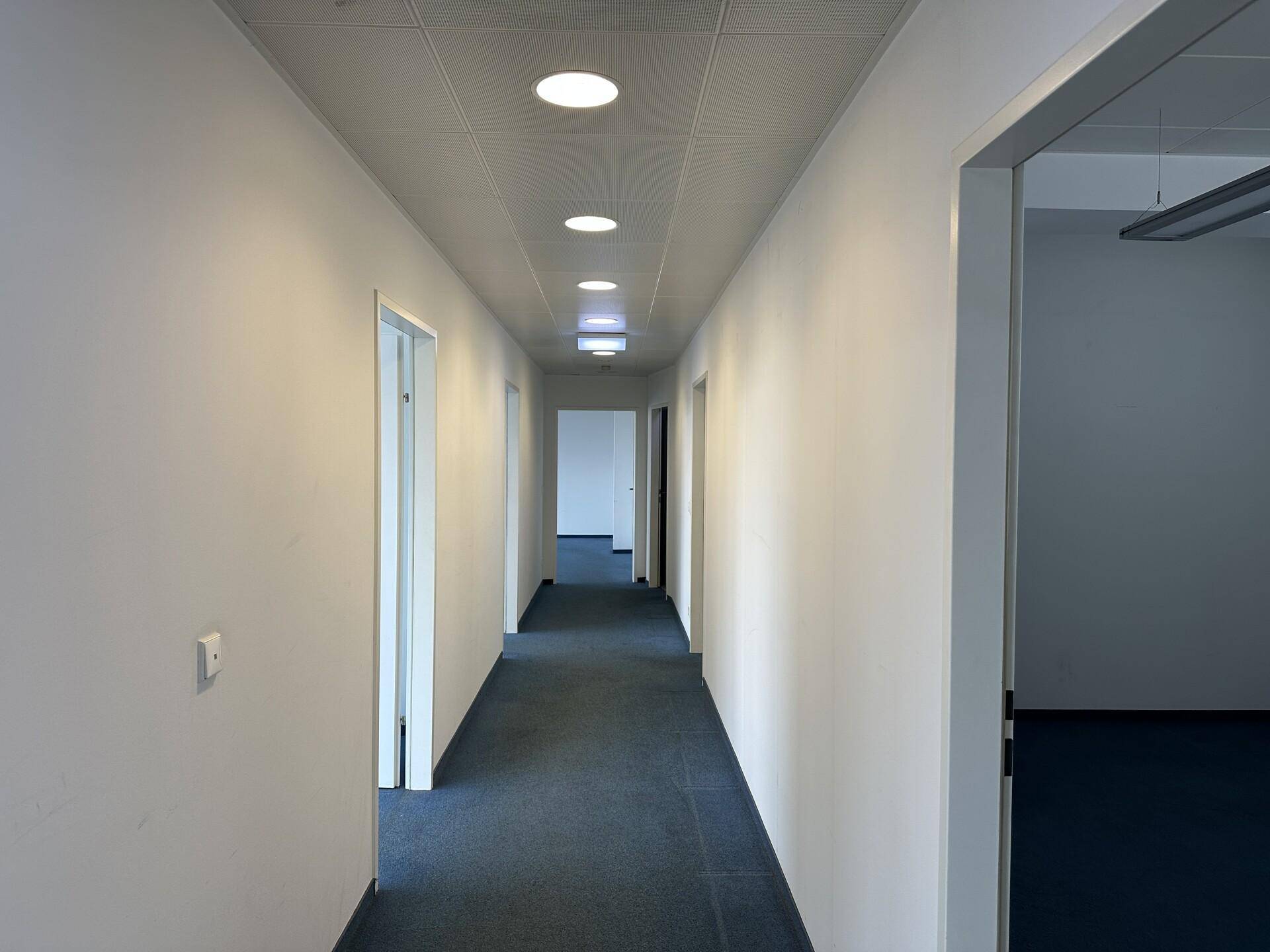 Langer, leerer Büroflur mit weiß gestrichenen Wänden, blauem Teppich und Deckenbeleuchtung.