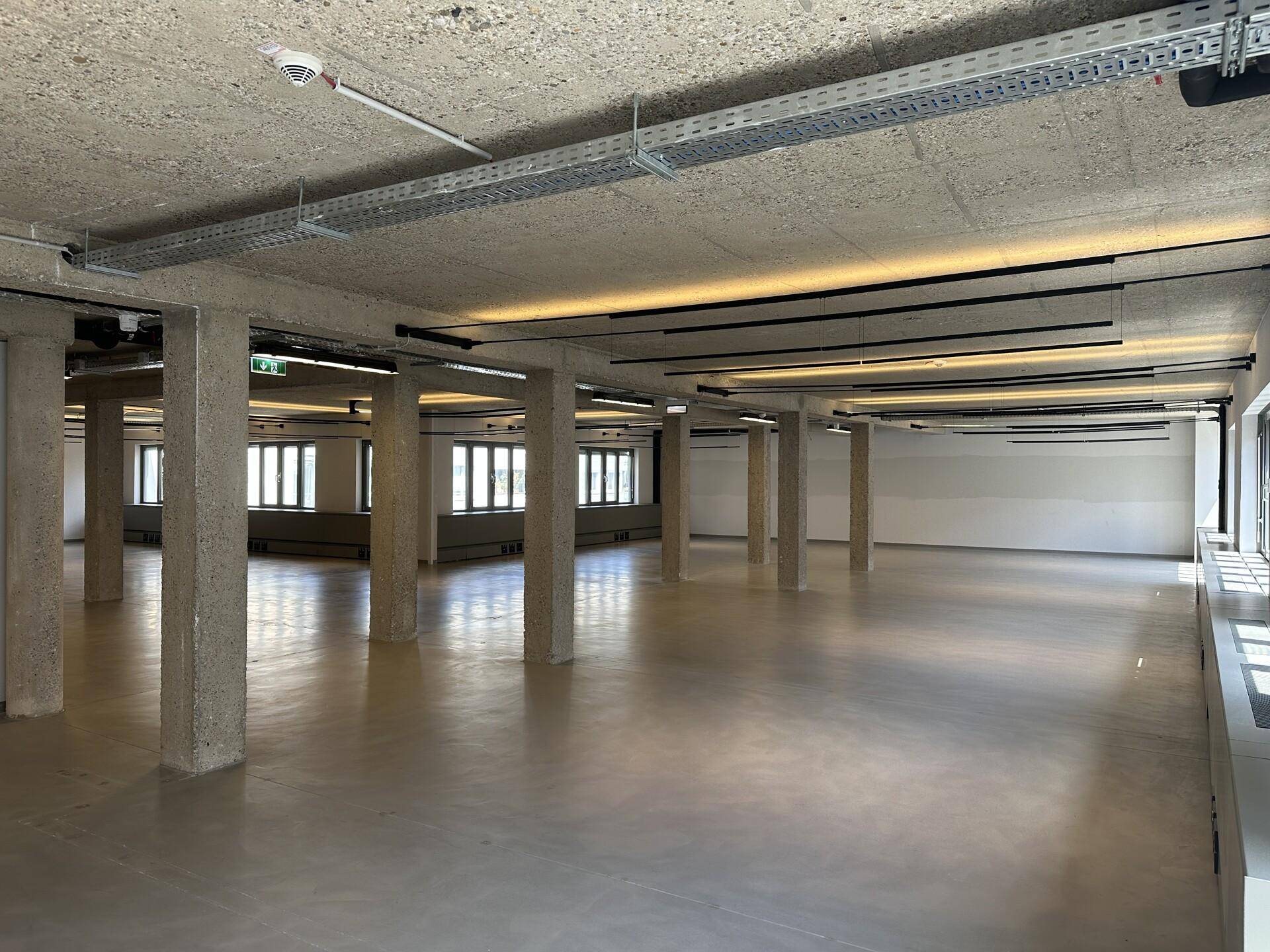 Großer, offener Büroraum mit Betonsäulen, industrieller Decke und viel natürlichem Licht.