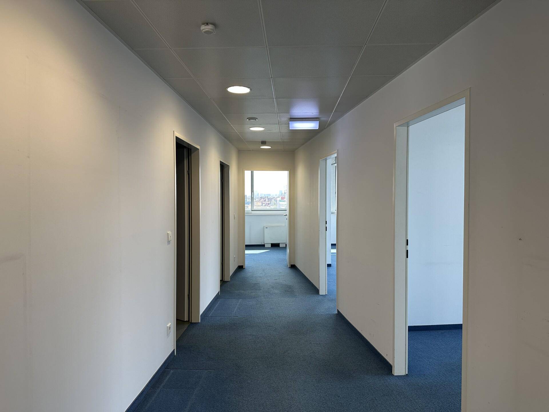 Heller Büroflur mit blauem Teppichboden, weißen Wänden und Fenstern am Ende des Ganges.