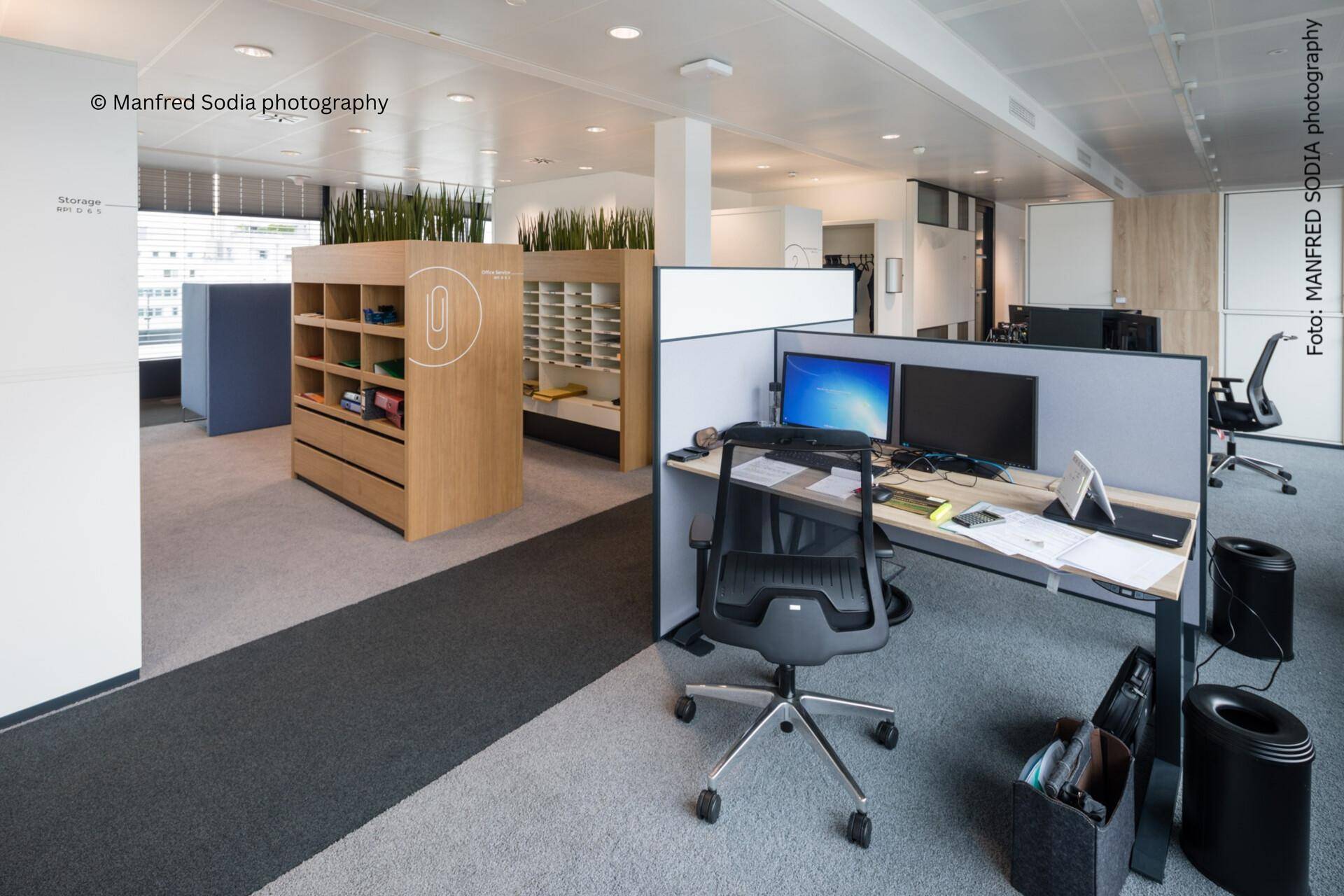 Offenes Büro mit modernen Arbeitsplätzen, Trennwänden und Pflanzen als Raumteiler.