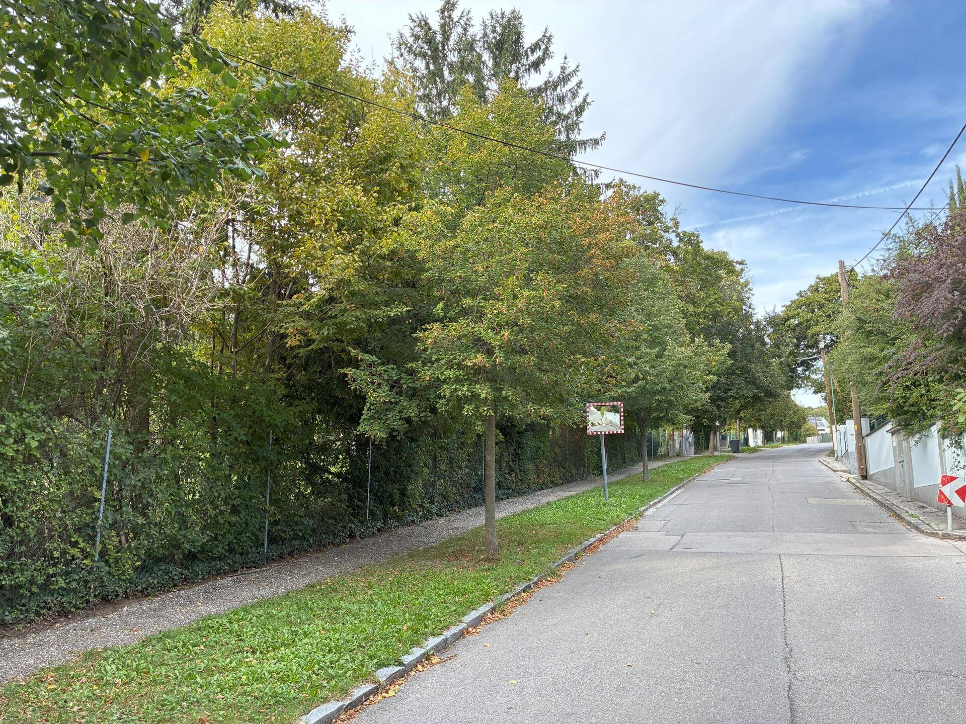 Ruhige Wohnstraße mit Bäumen, Bürgersteig und einem Zaun entlang der Grundstücksgrenze.