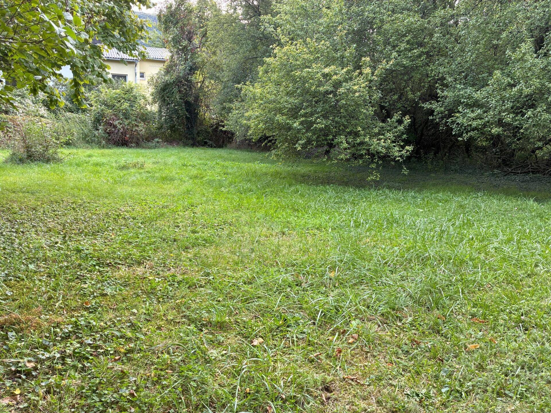 Offene Rasenfläche mit angrenzendem Baumbestand und einem Haus im Hintergrund.