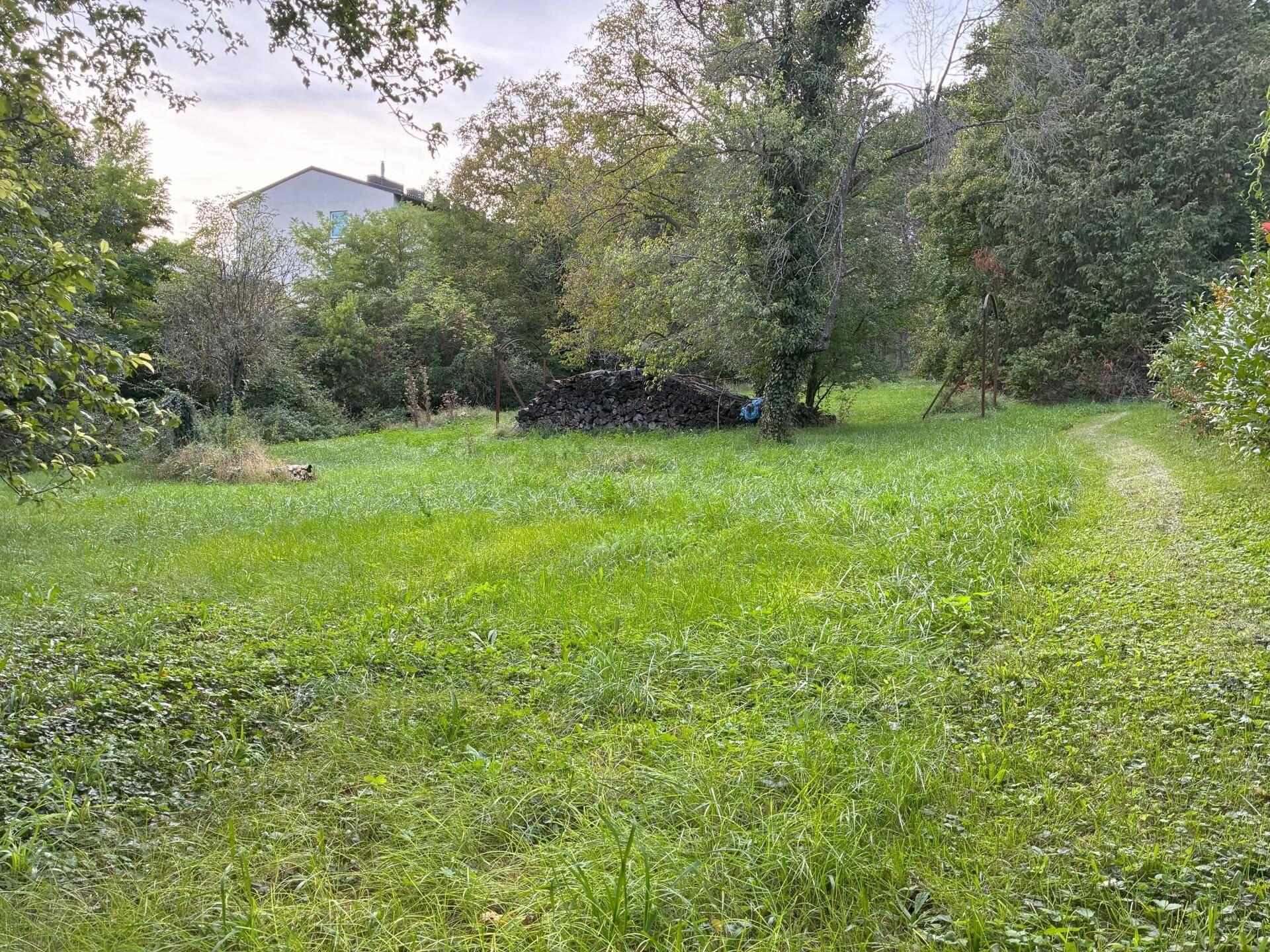 Großzügige Rasenfläche mit einem Haus im Hintergrund und einem Pfad am Rand des Grundstücks.