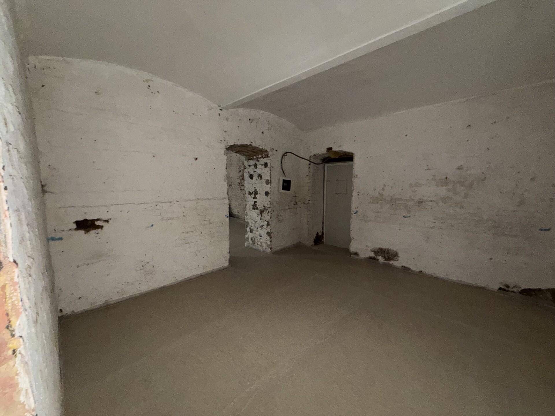 Leerer Kellerraum mit gewölbter Decke, rohen Wänden und einer Türöffnung.