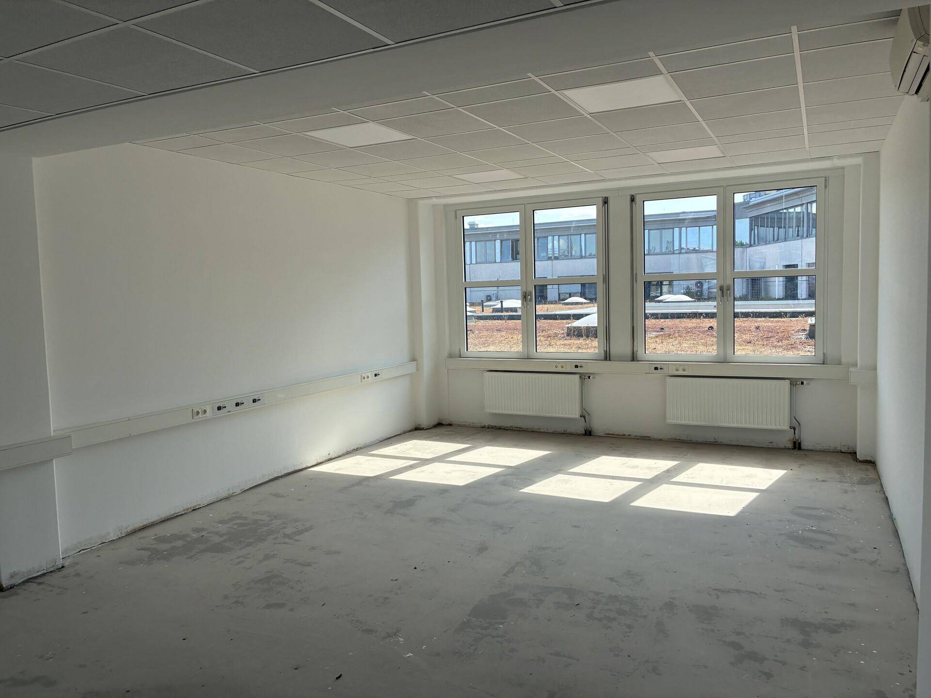 Leeres Büro mit großen Fenstern, die viel Tageslicht hereinlassen, und einem Betonboden.