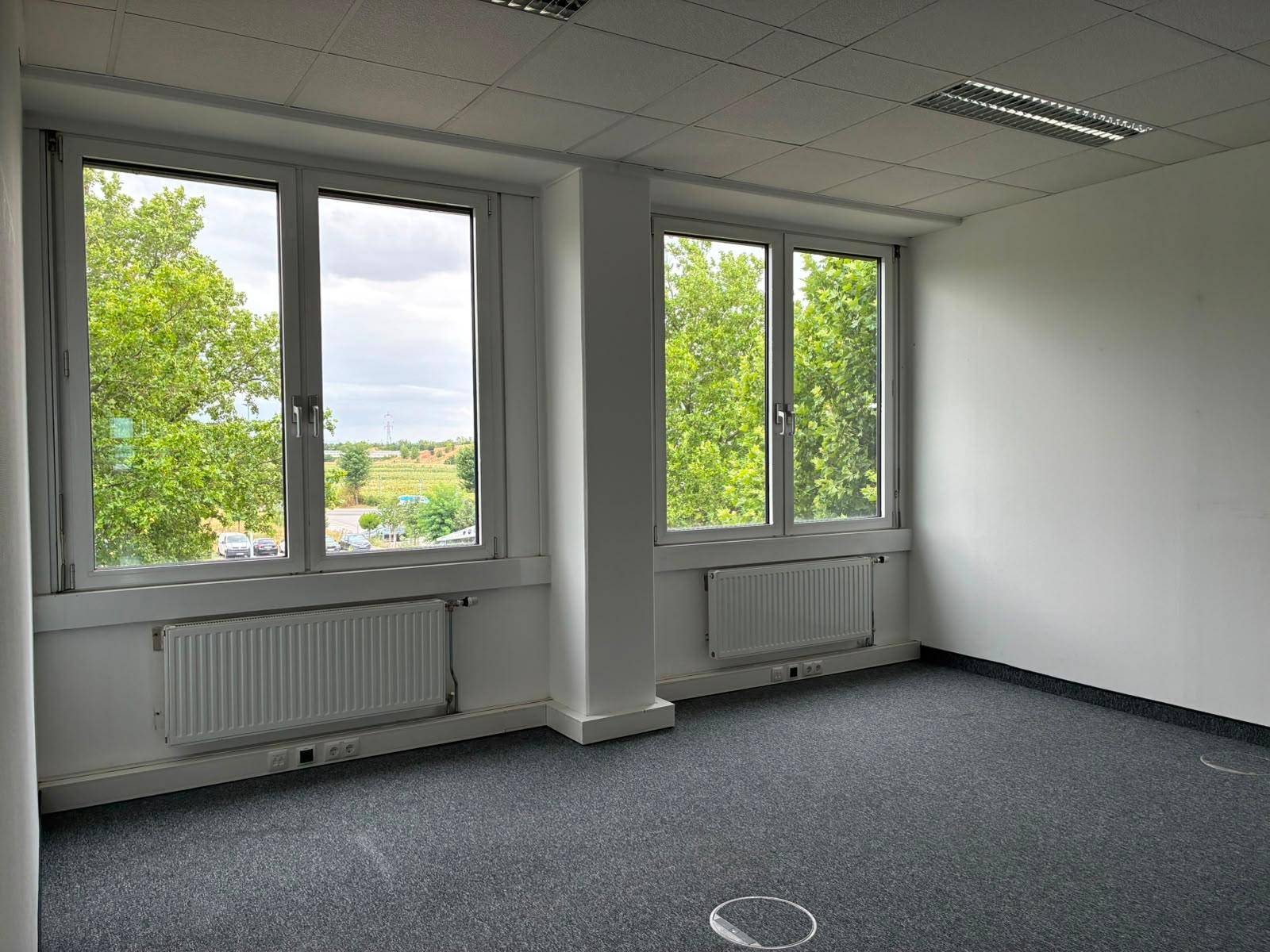 Leeres Büro mit grauem Teppichboden, weißen Wänden und großen Fenstern mit Blick ins Grüne.