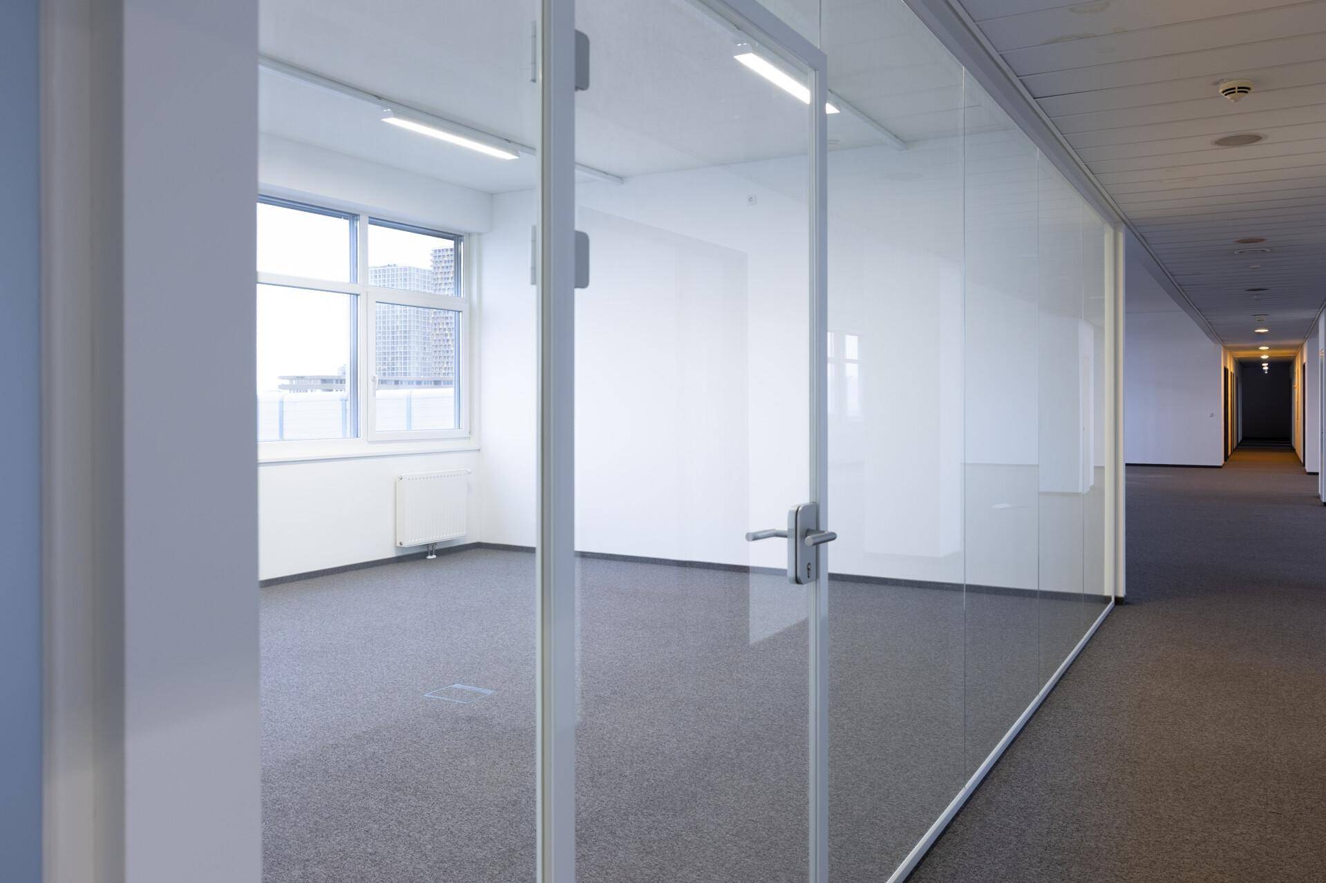 Büroraum mit Glaswänden und Teppichboden, der viel natürliches Licht durch die Fenster erhält und eine offene Arbeitsumgebung schafft.