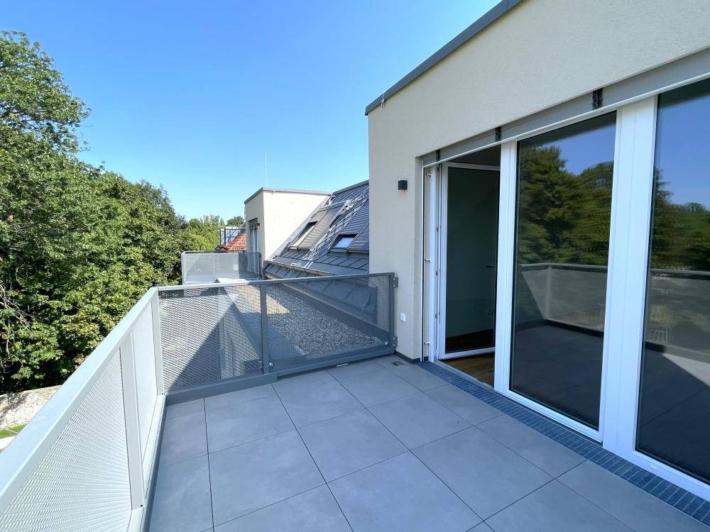 Helle Terrasse mit großen Schiebetüren und Zugang zum Innenbereich, umgeben von Bäumen.